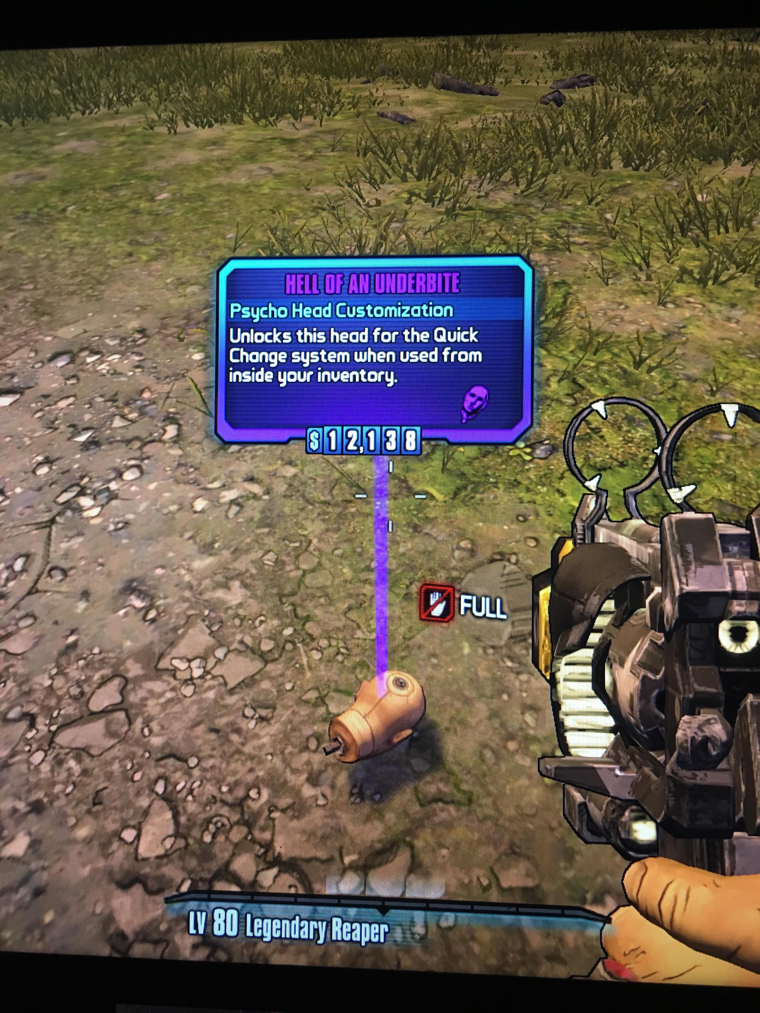 Borderlands 2 Psycho Heads