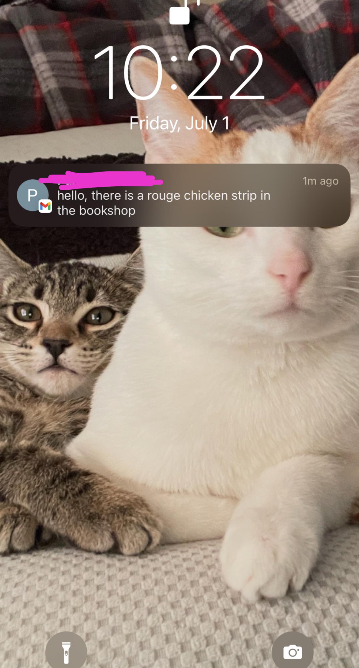 Free Library Cards for Texas Residents Libraries