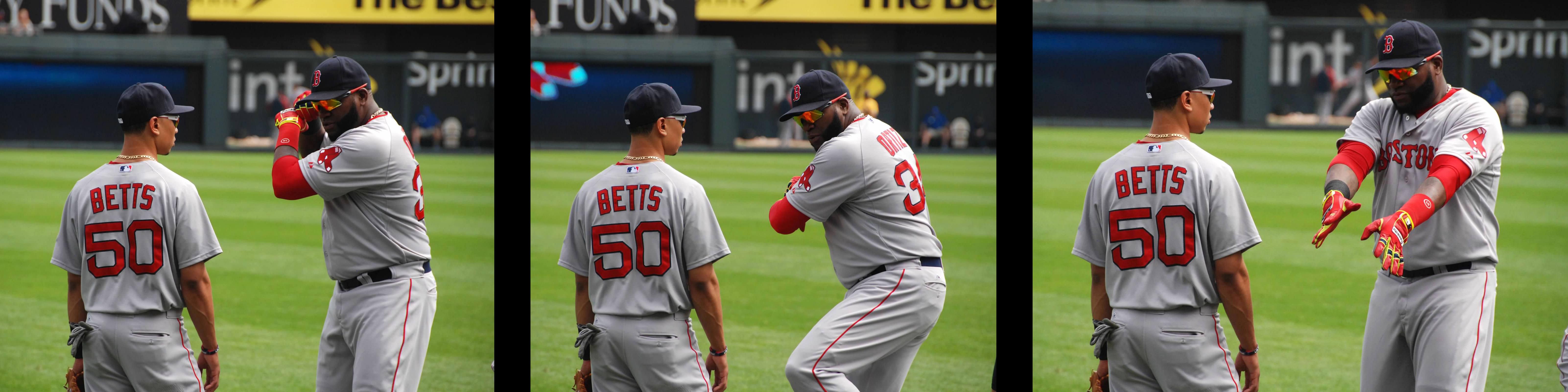156 best Big Papi images on Pholder Redsox, Papillon and Baseball
