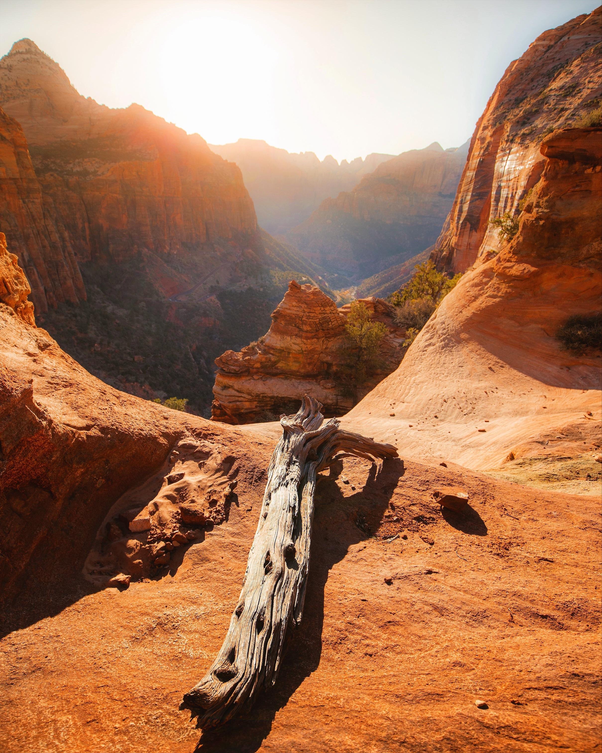 Canyon Overlook at Sunset. Zion National Park, UT. [2419x3024][OC