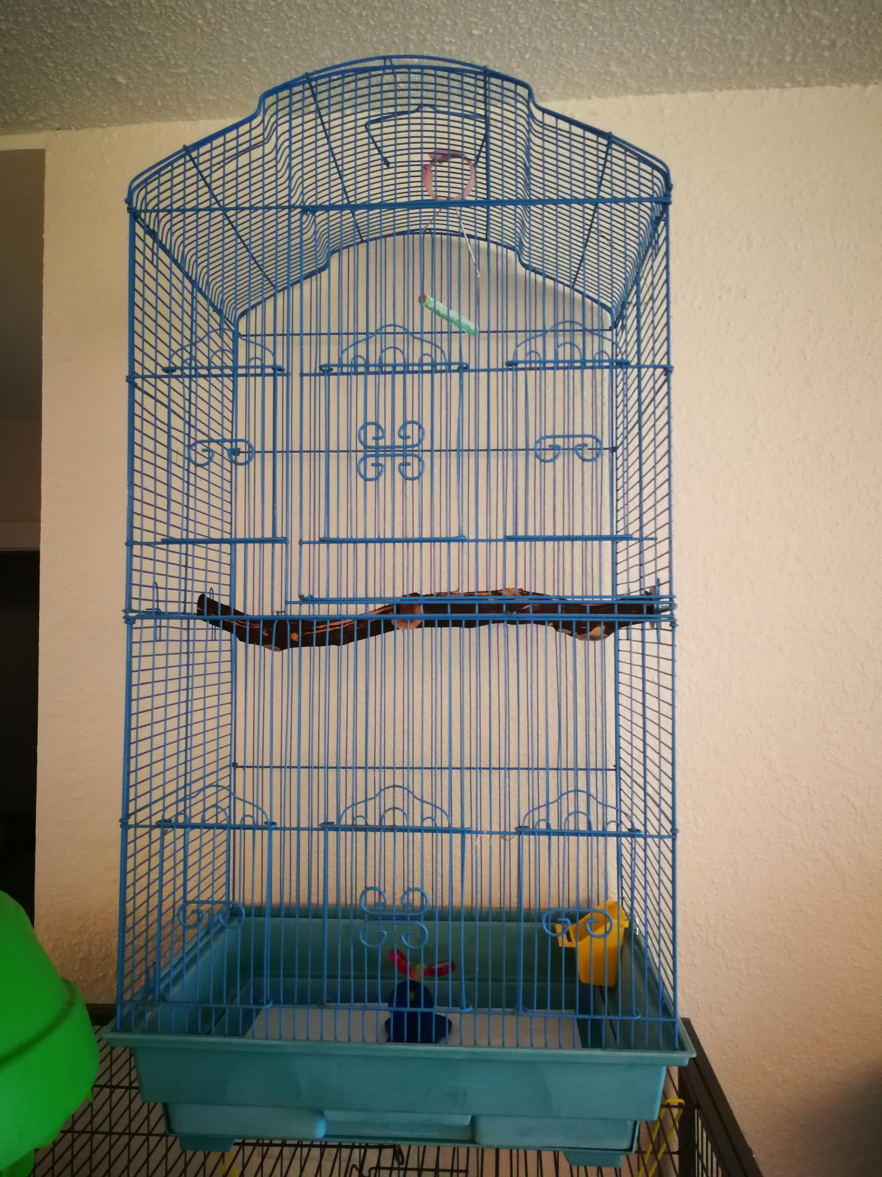 I was gifted this cage, 18Lx14Wx31h would it be sufficient for a pair