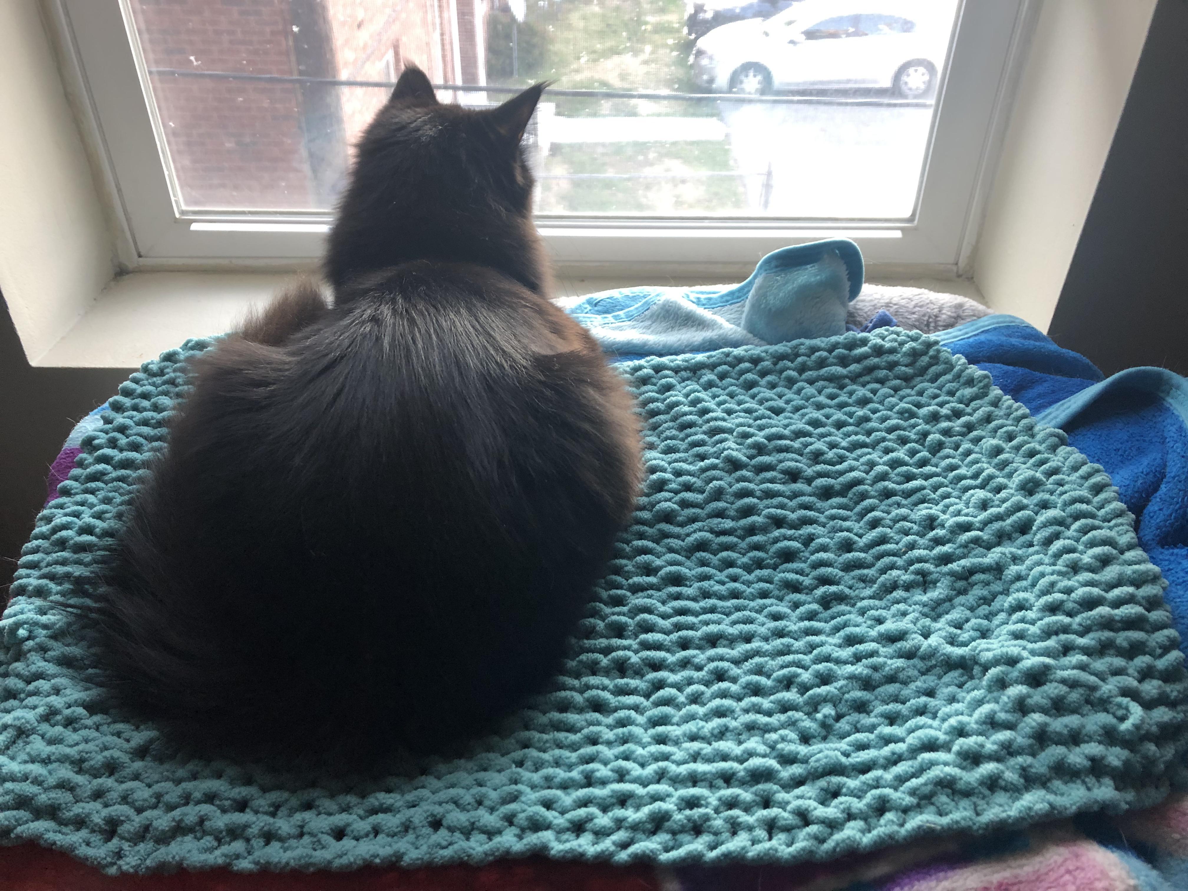 While depression knitting at 2am I completed my first project! A lil