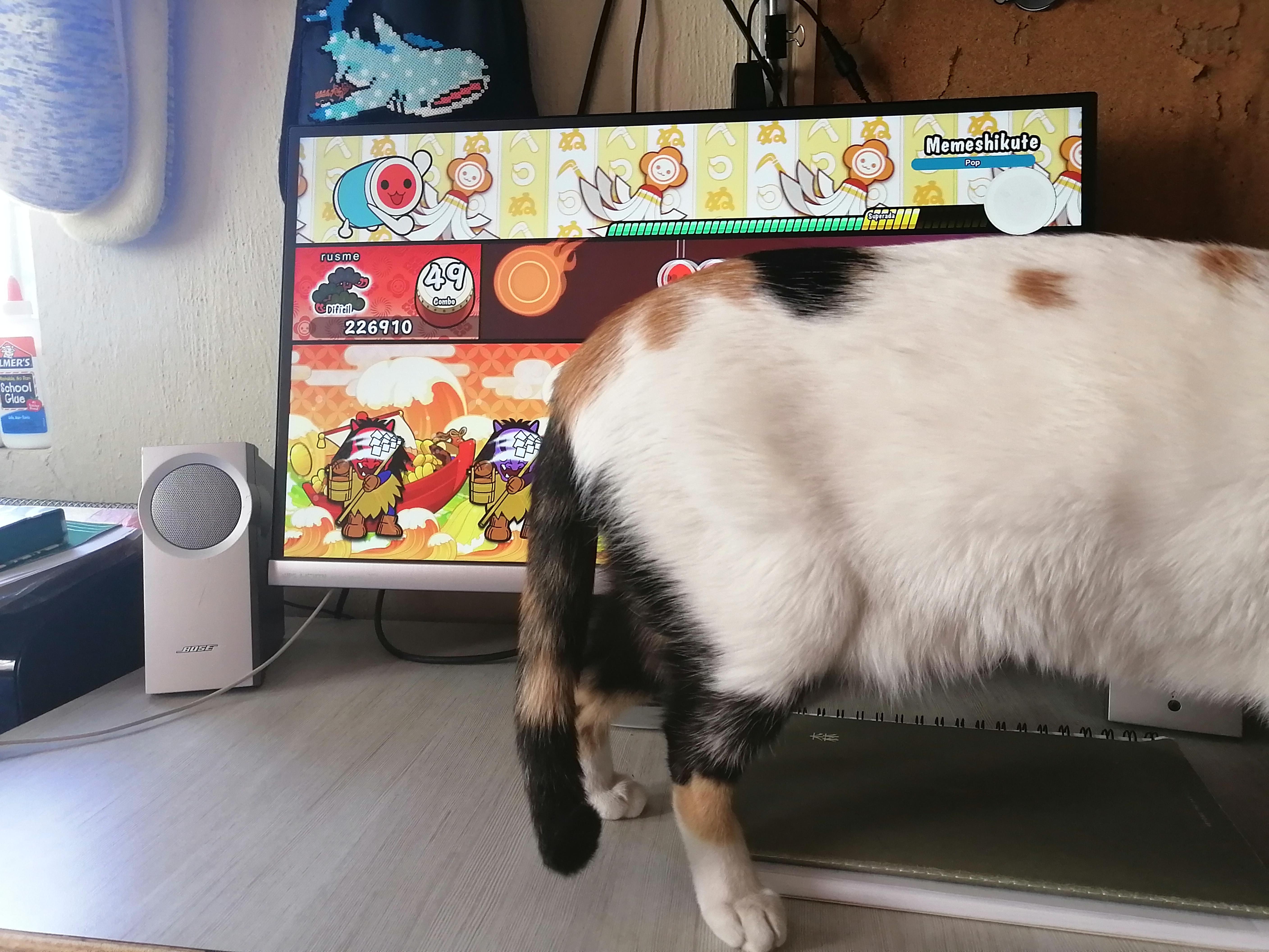 My cat doesn't want me to play 😅 (sorry for my bad English r