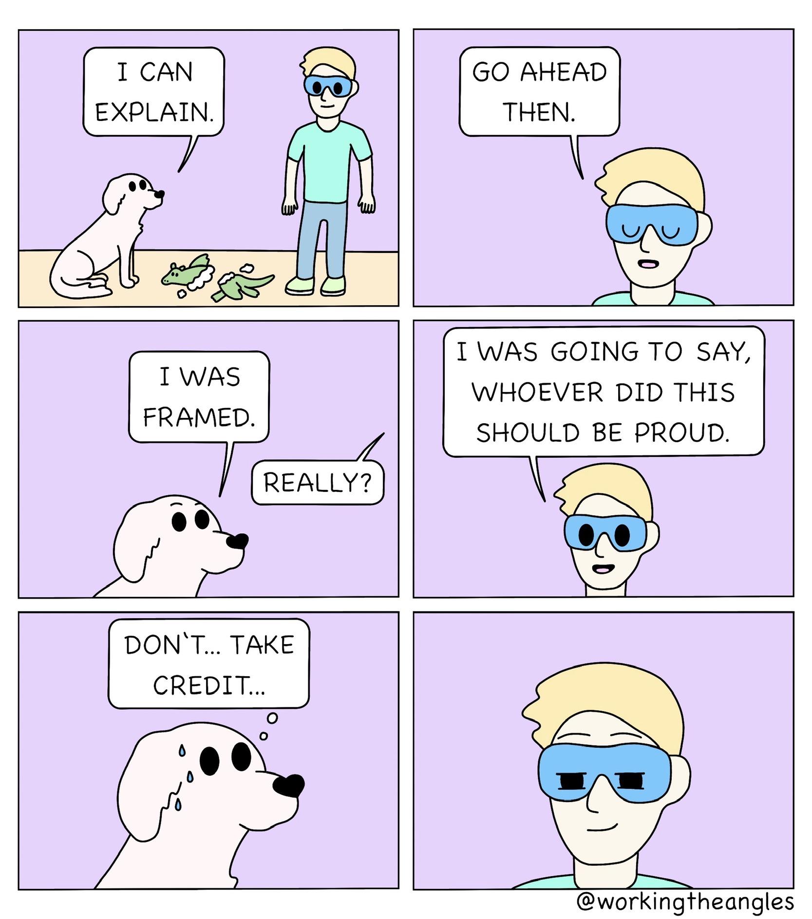 Puppy Mind Games (OC) r/funny