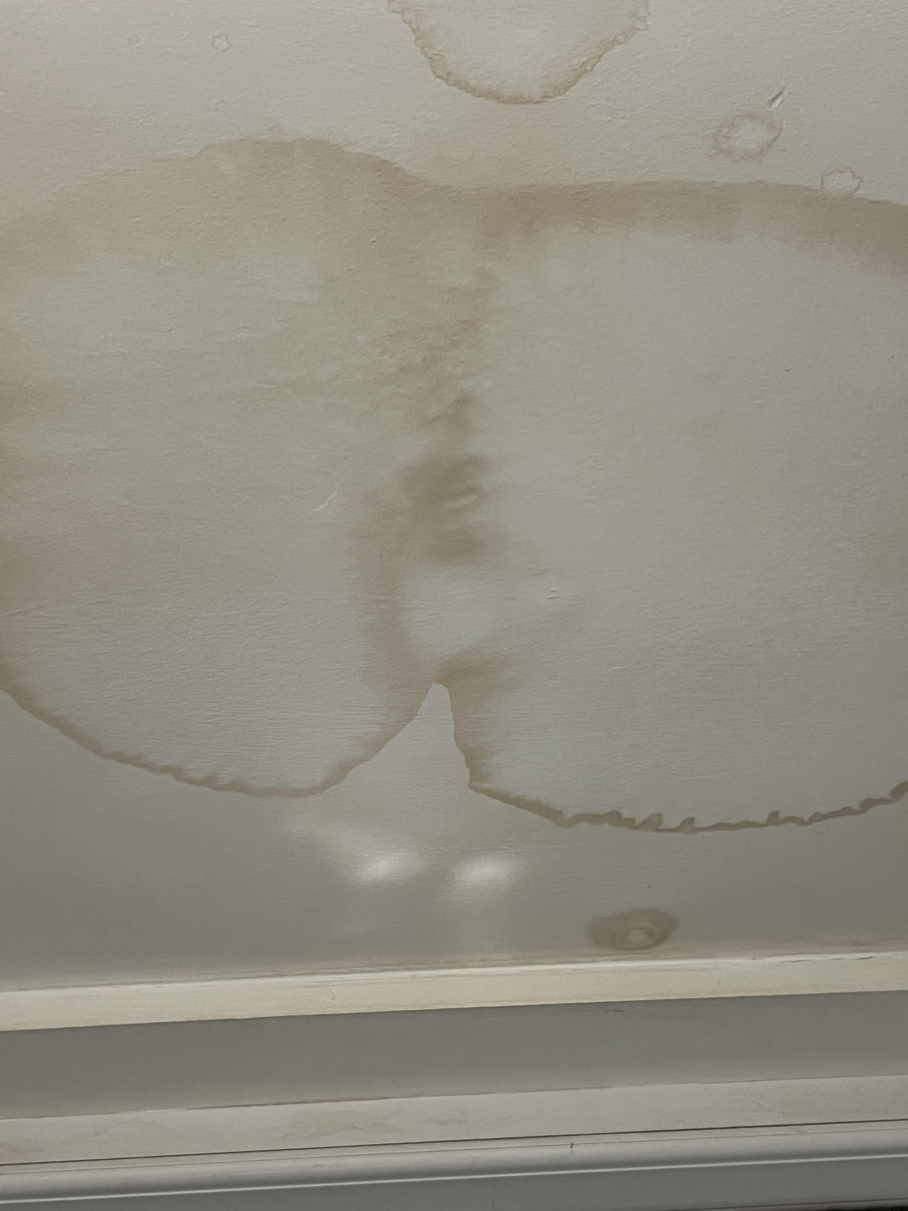 Water leak in my kitchen looks like … r/Pareidolia