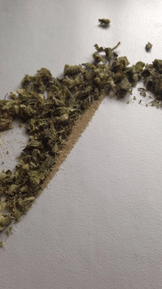 Should've used the grinder instead of scissors... r/weed