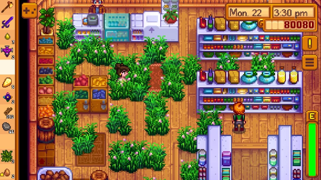 Just growing some grass in Pierre’s r/StardewValley