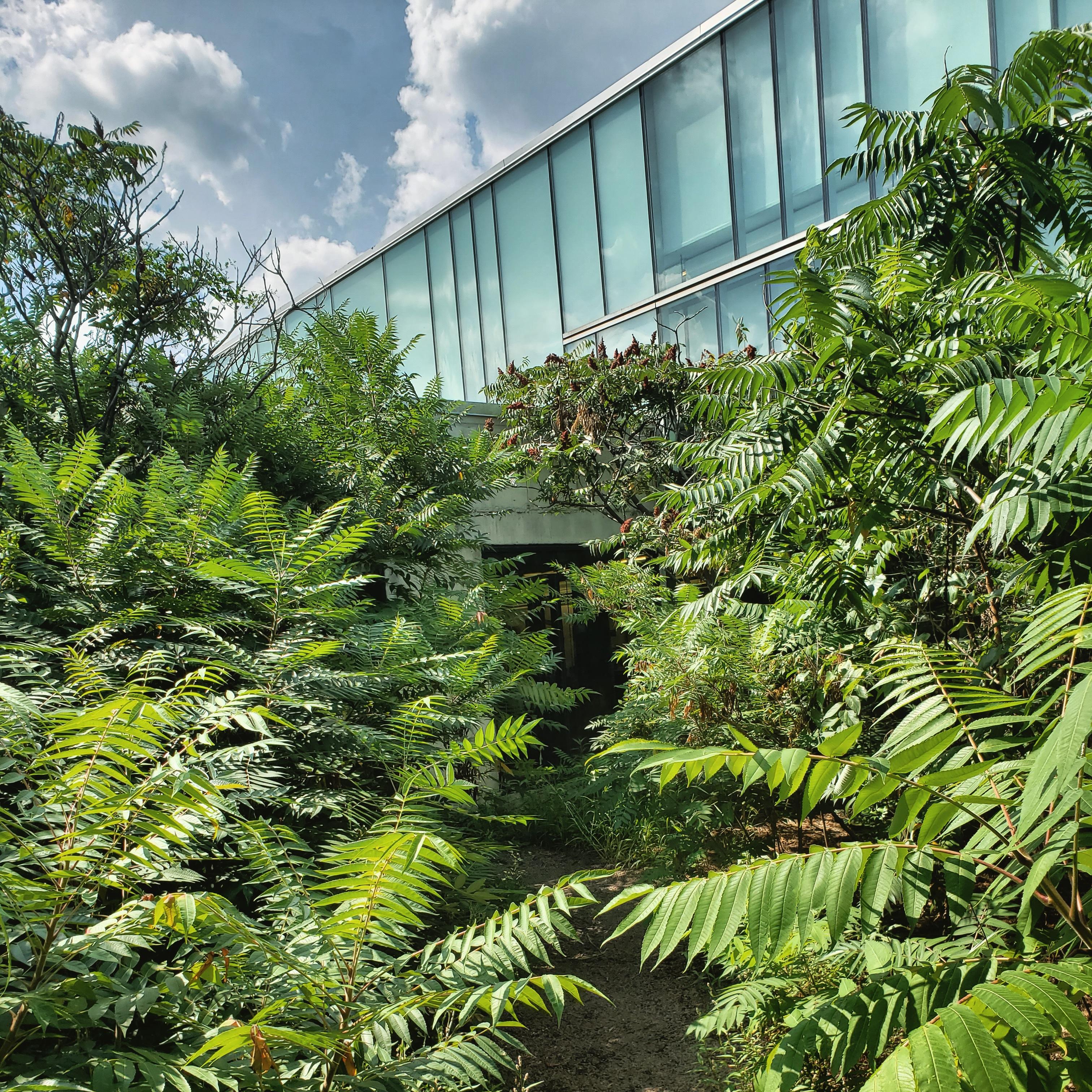 Roof Garden by MVVA at the Knowlton School of Architecture, Ohio State
