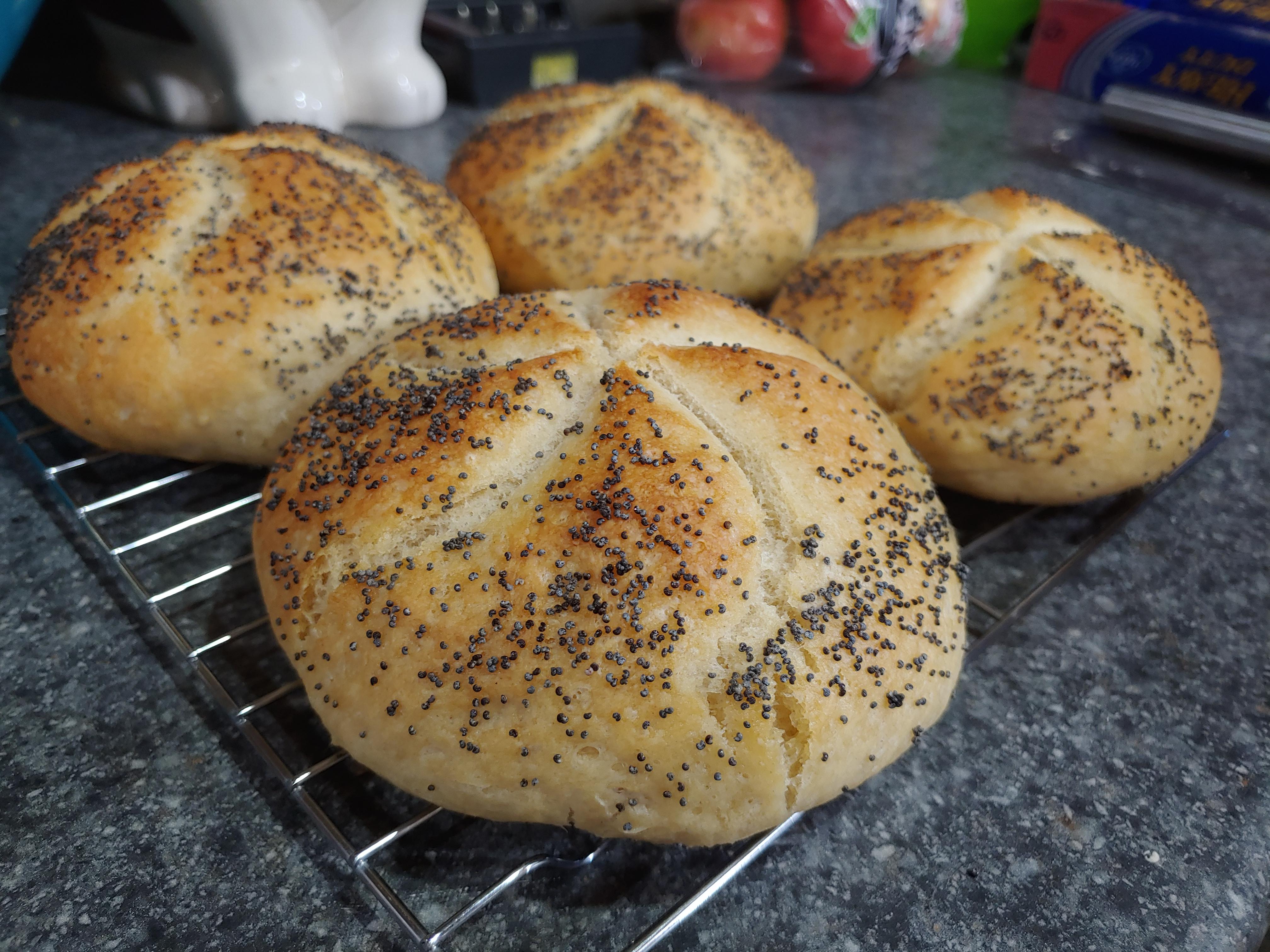 Best looking rolls I've made yet! NY style hard rolls. r/Breadit