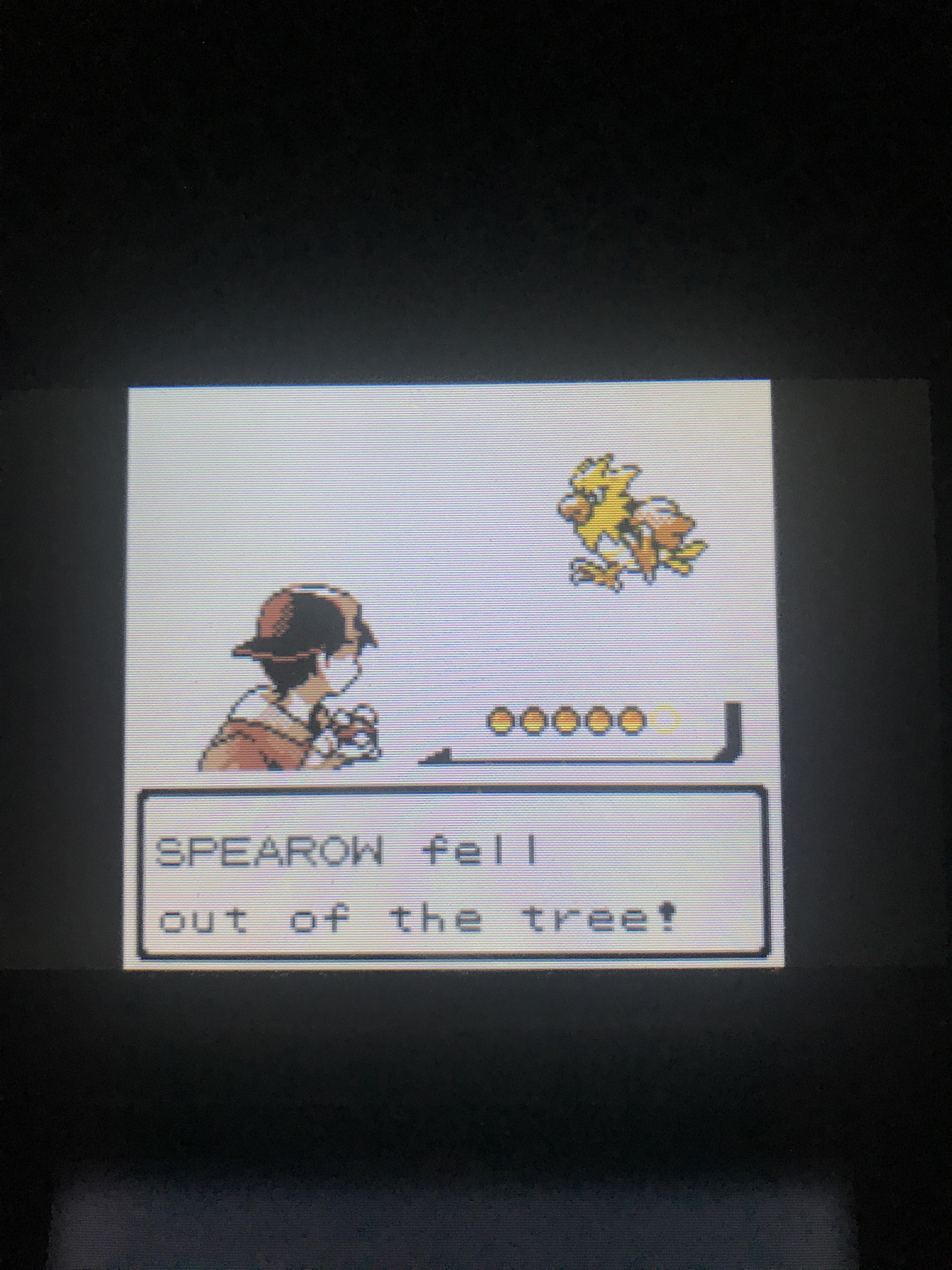 [Gen 2] Random shiny spearow while head butting trees for a Heracross r/ShinyPokemon