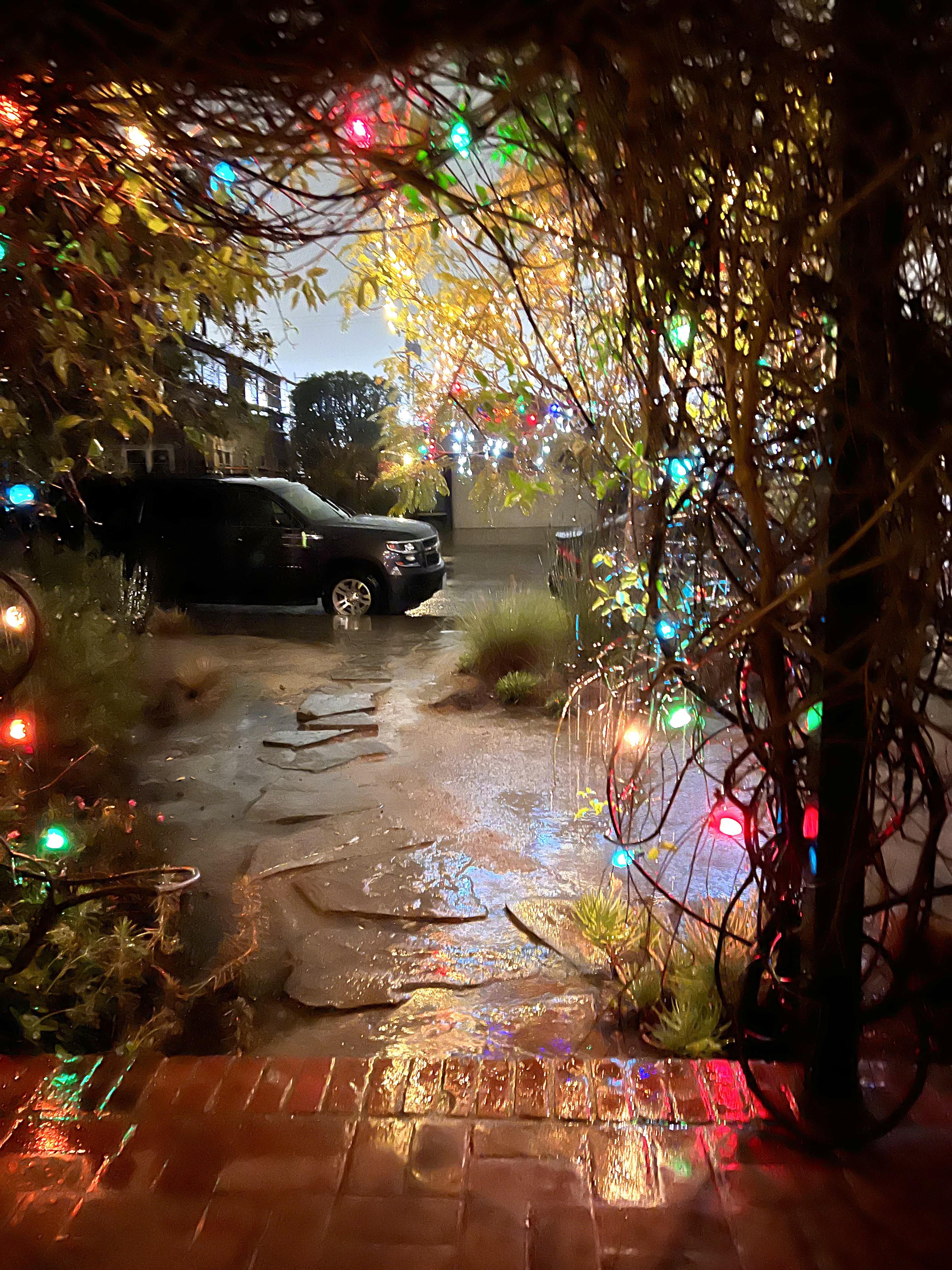 Los Angeles. Front porch. Happy plants. r/pics