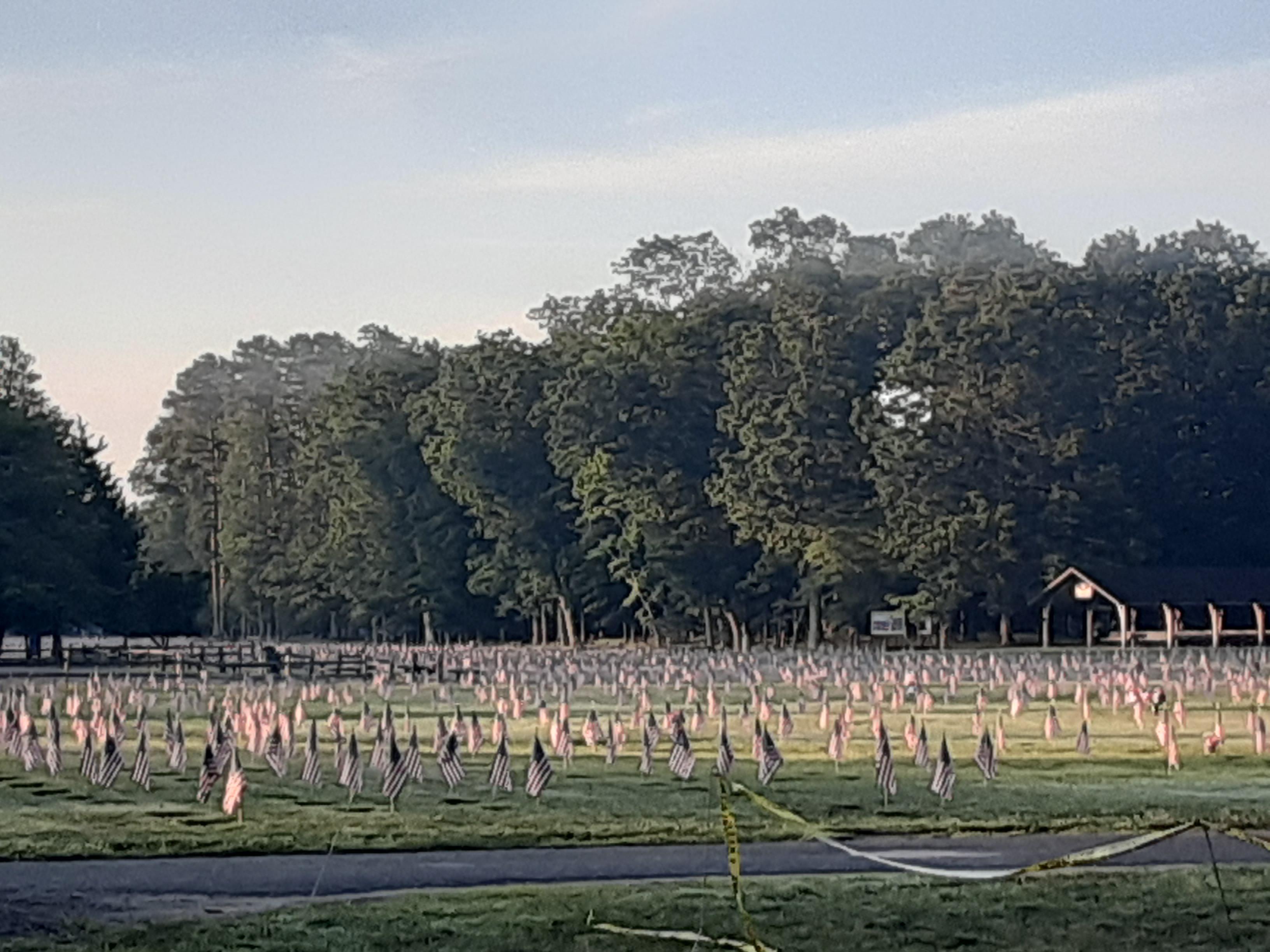 Estell Manor Veterans Cemetery decked out for 4th of July r/SouthJersey