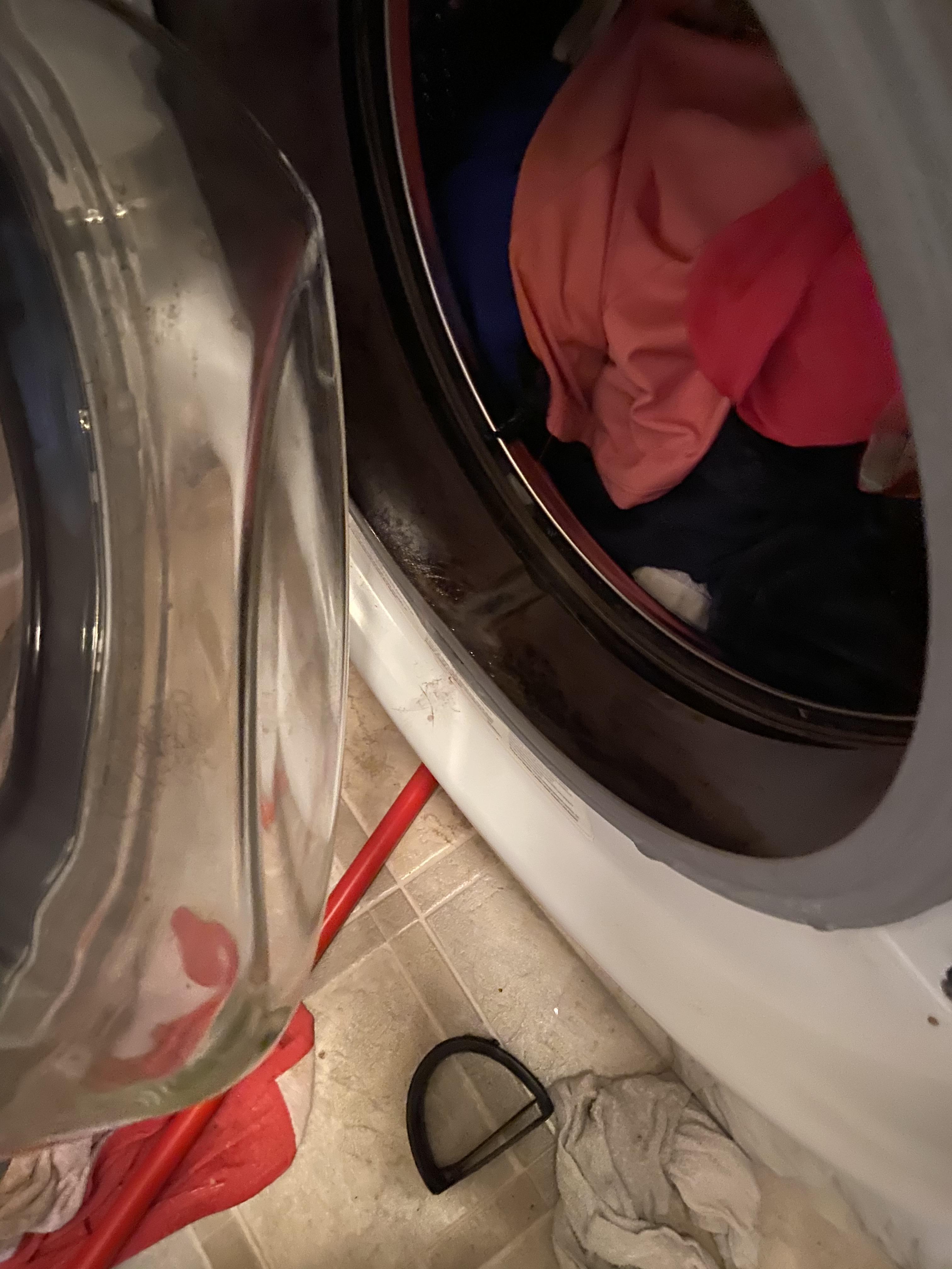 Is this mold in my washing machine? r/Mold