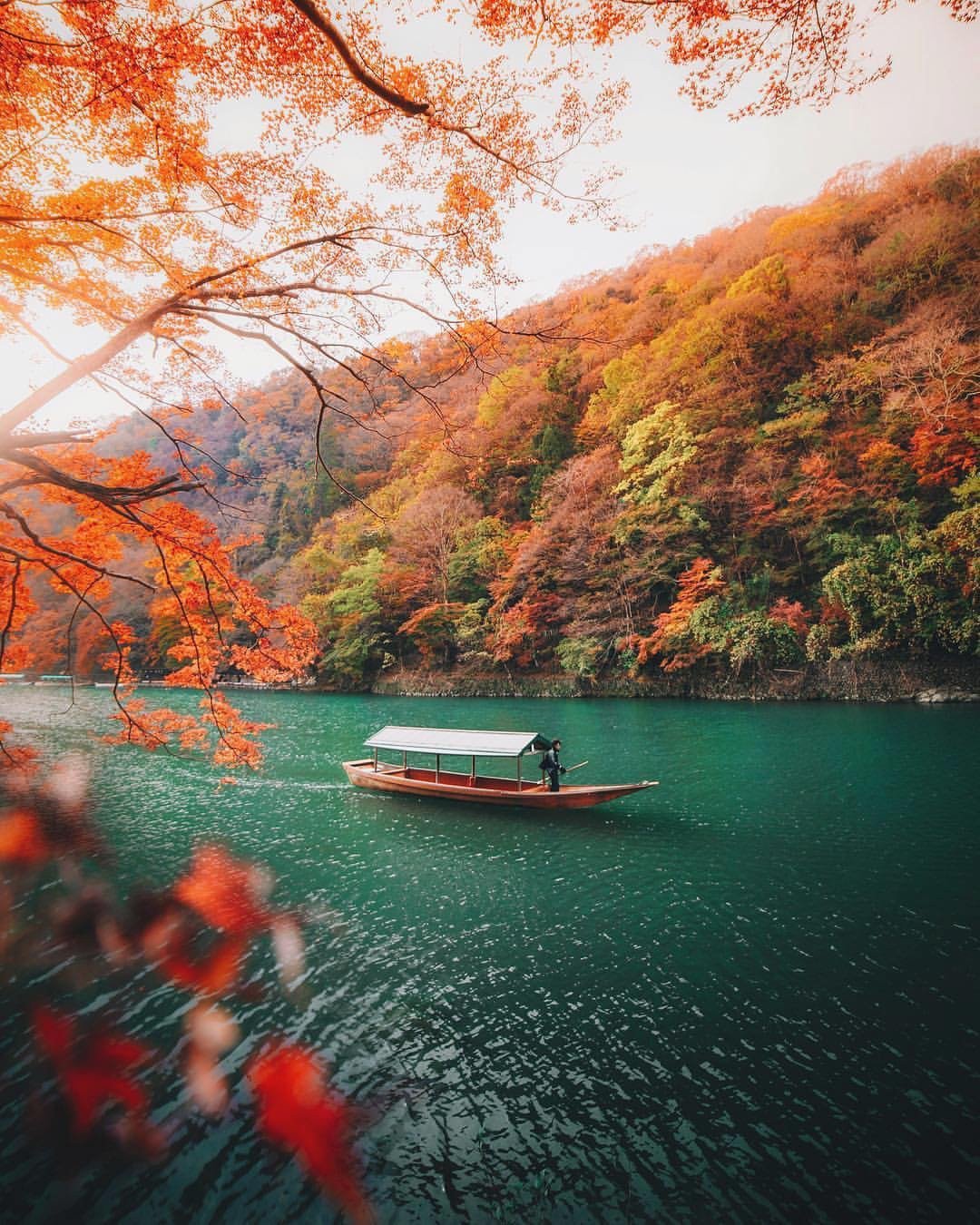 Fall in Kyoto, Japan r/pics