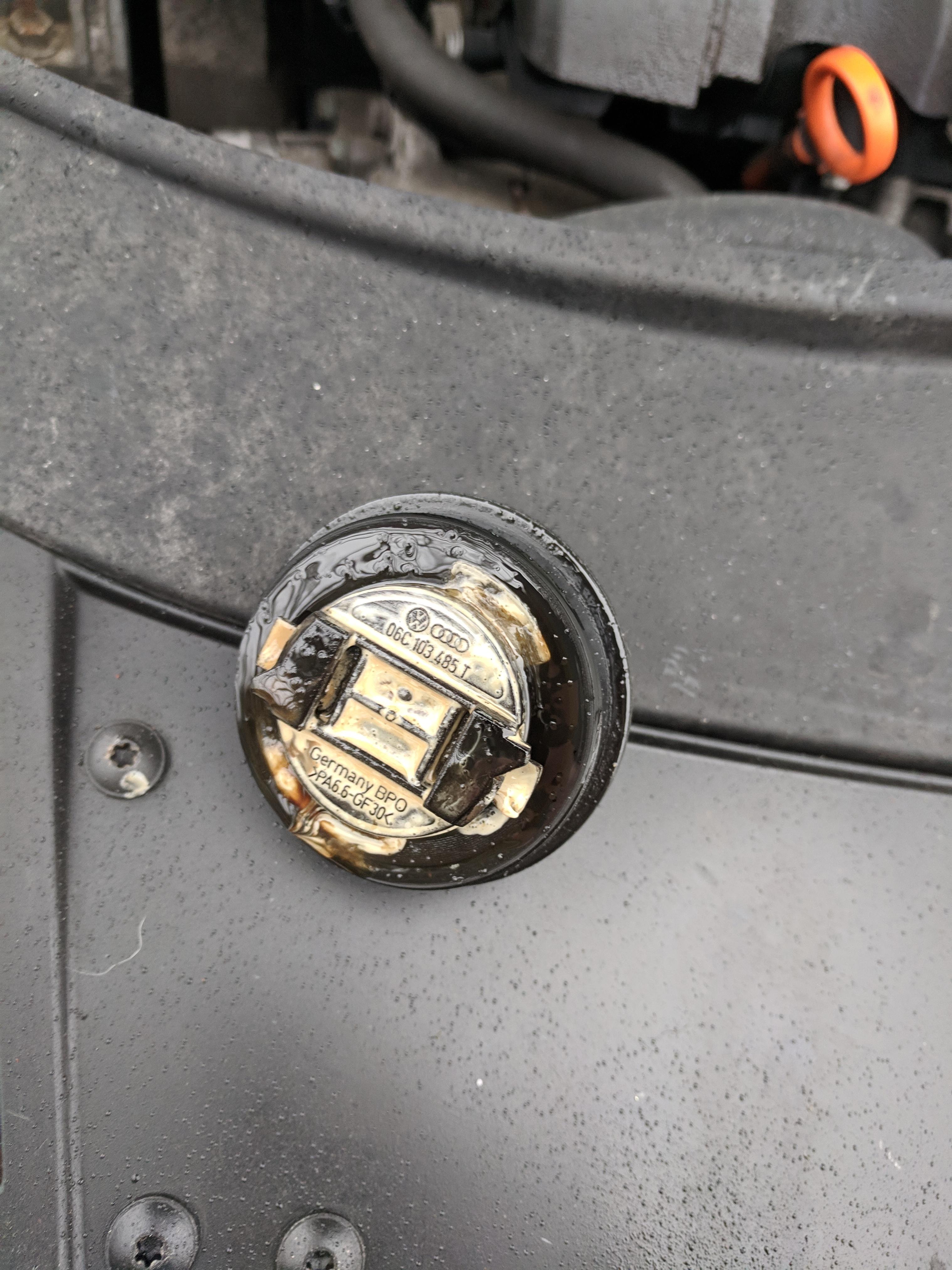 2007 VW Passat, just changed oil, is now leaking and found this sludge
