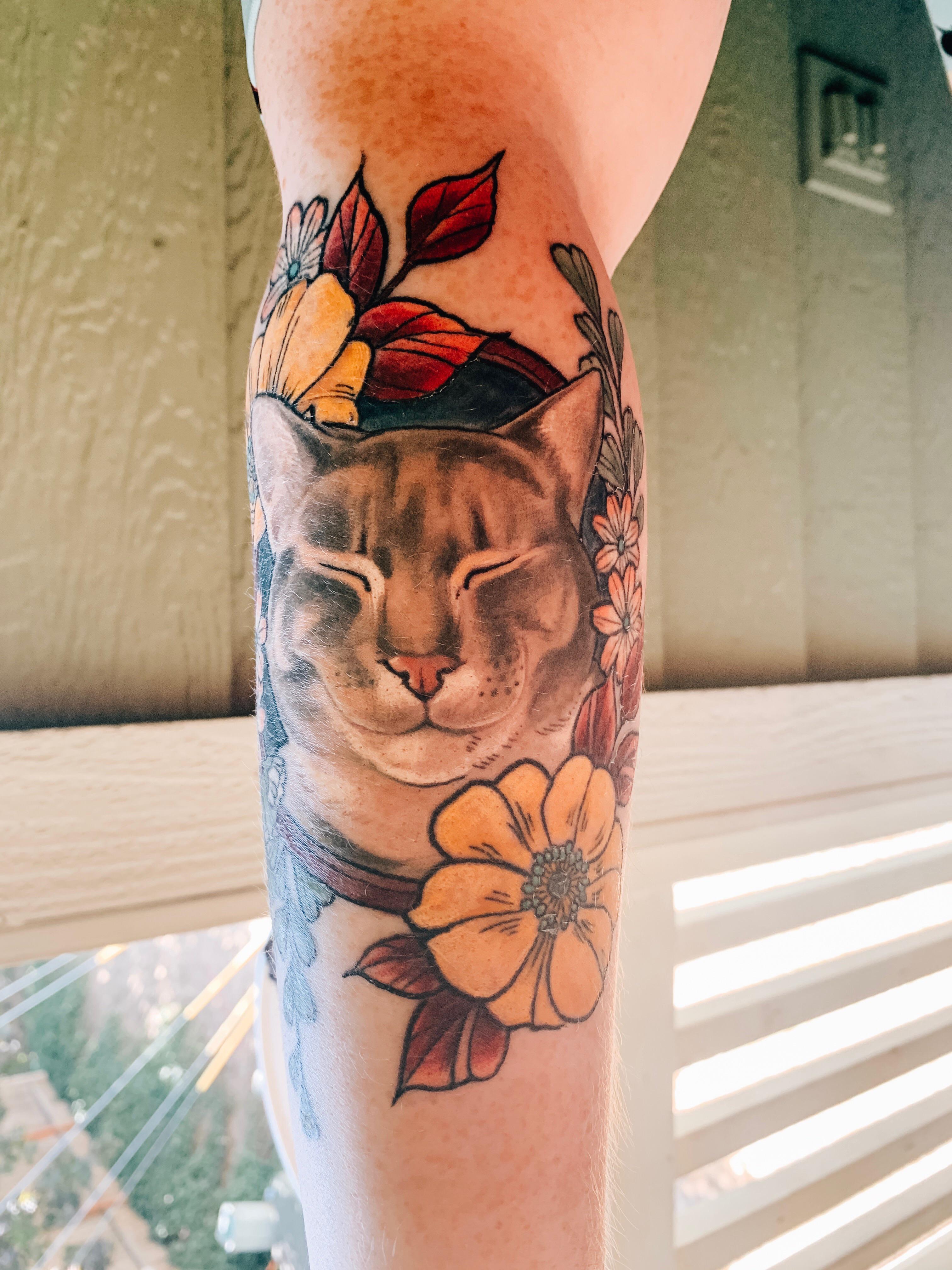 Cat Tattoo By Joanne Slorach At The Hive Tattoo (Portland, Or) – Tattoo Lover Family 4032_x_3024_jpg