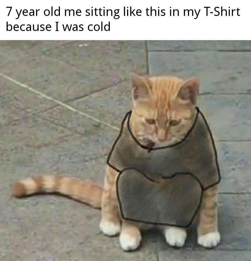 mom me cold r/dankmemes