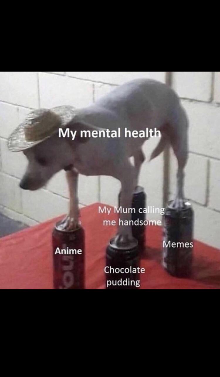 This is how I’m still alive funny
