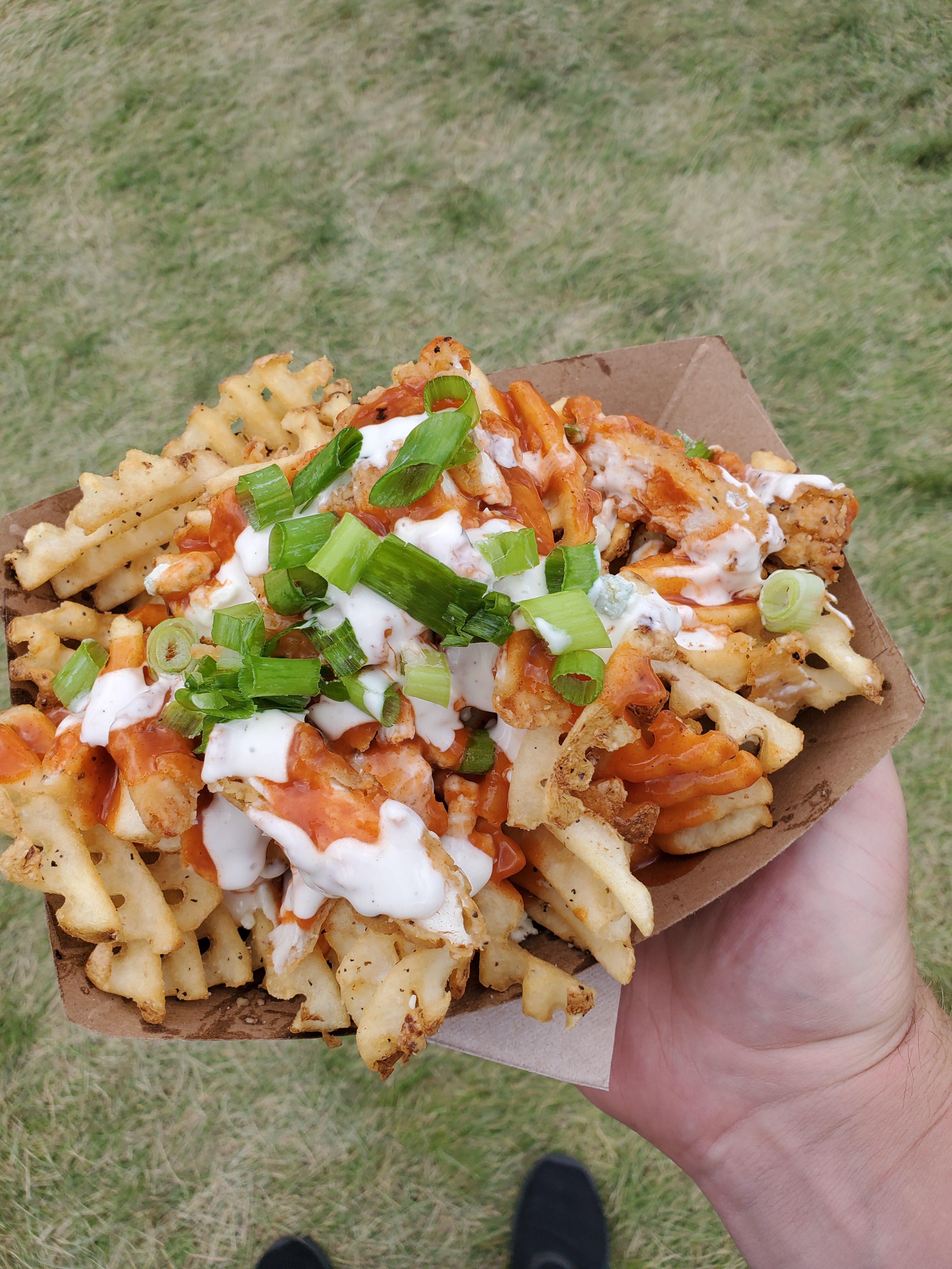 [I ate] Buffalo chicken loaded fries r/food