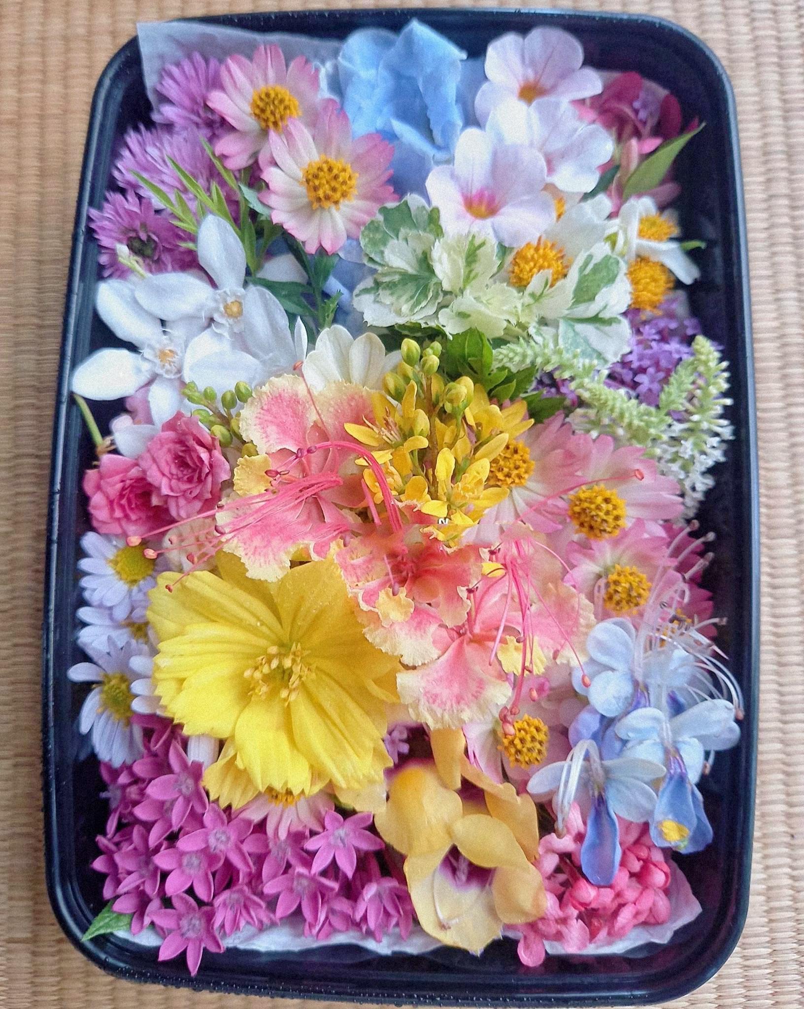 Wonderful flowers in my garden 🪴 they are ready for decorating my meal