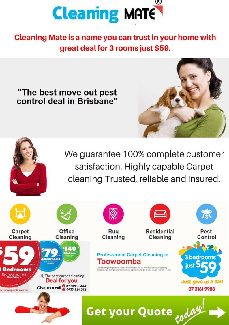 Professional Carpet Cleaning Brisbane r/Infographics