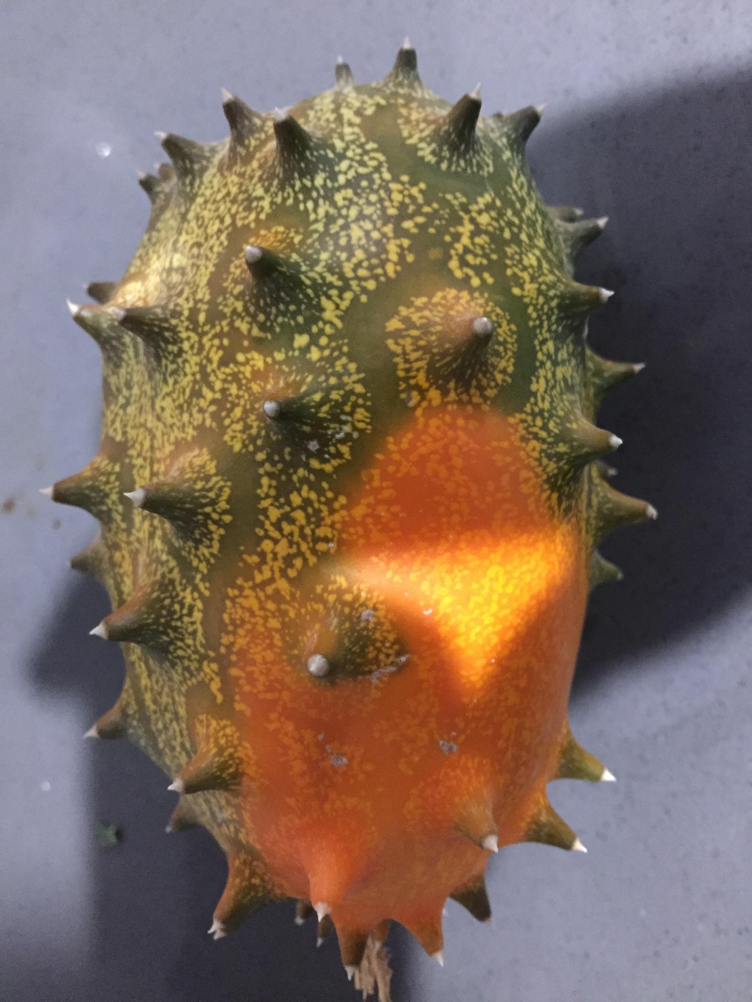 What is this? Is this a Kiwano? r/fruit