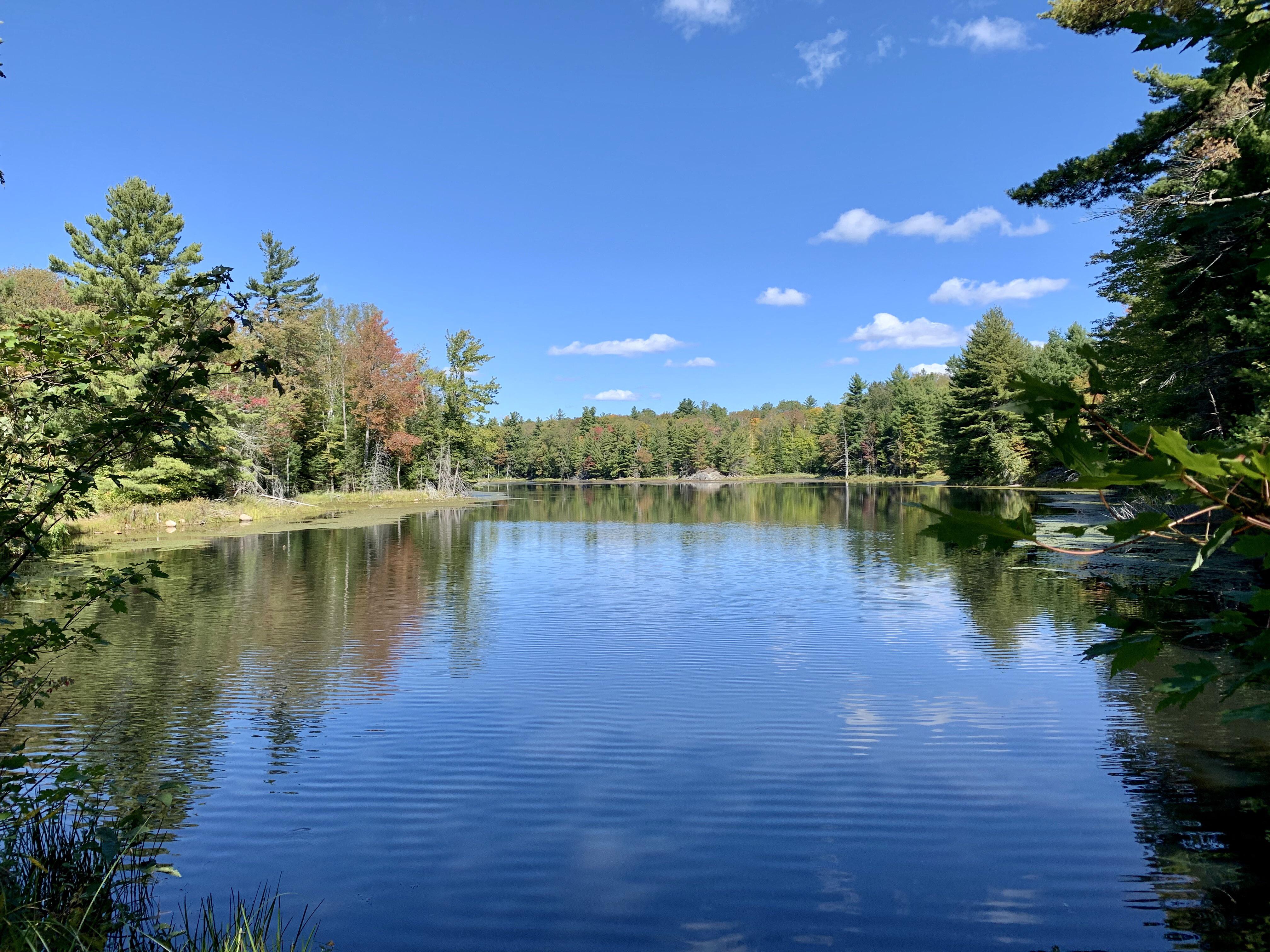 Off the beaten path in Cloyne. r/ontario