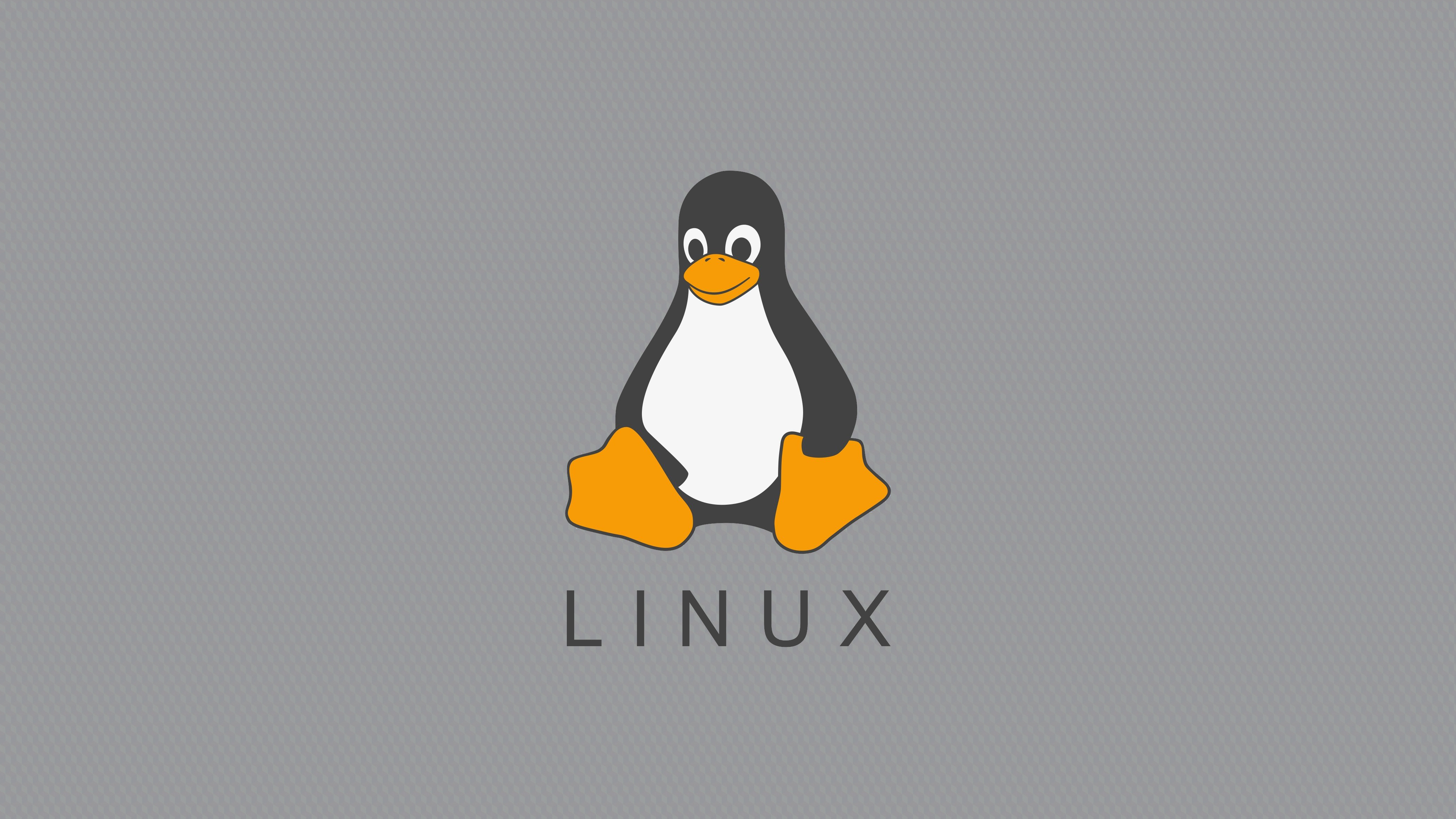 Minimalist Linux/Tux Wallpaper r/linuxmint