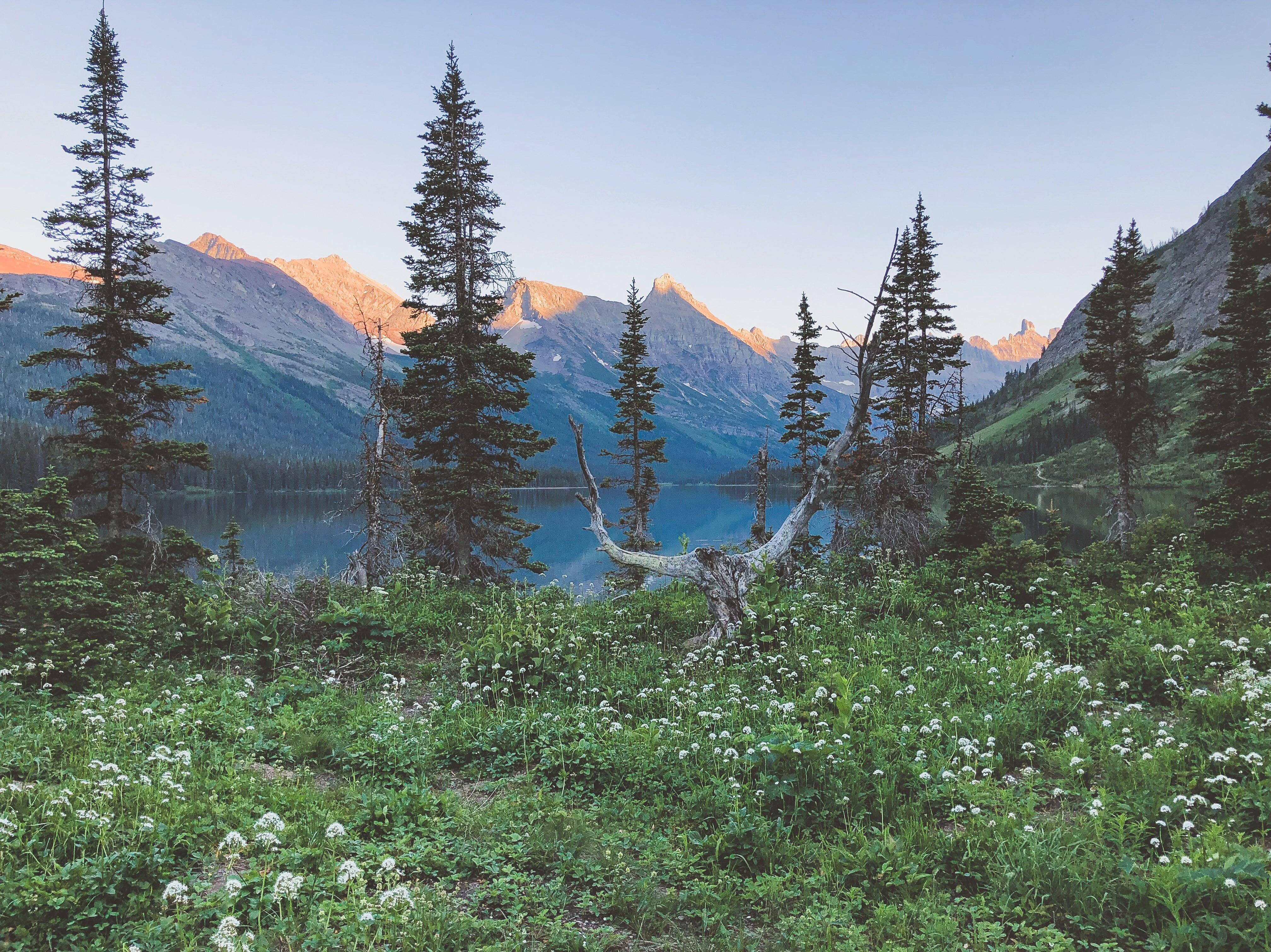 Lake Elizabeth, Glacier NP. r/Montana