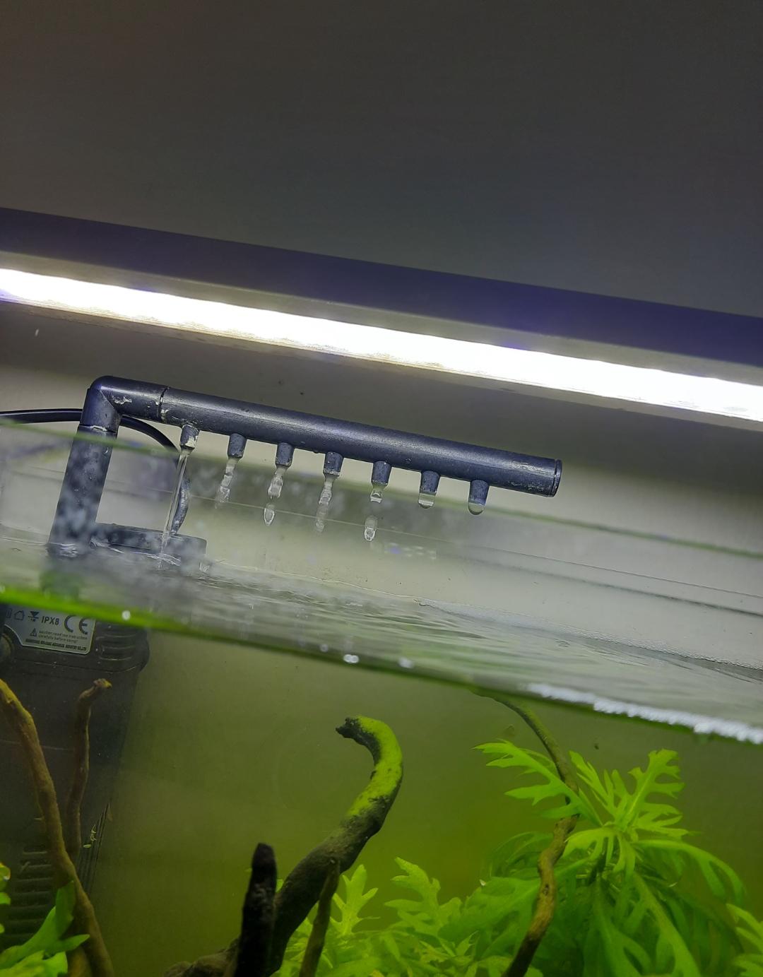 Is this light too bright for my aquarium??? r/Aquariums
