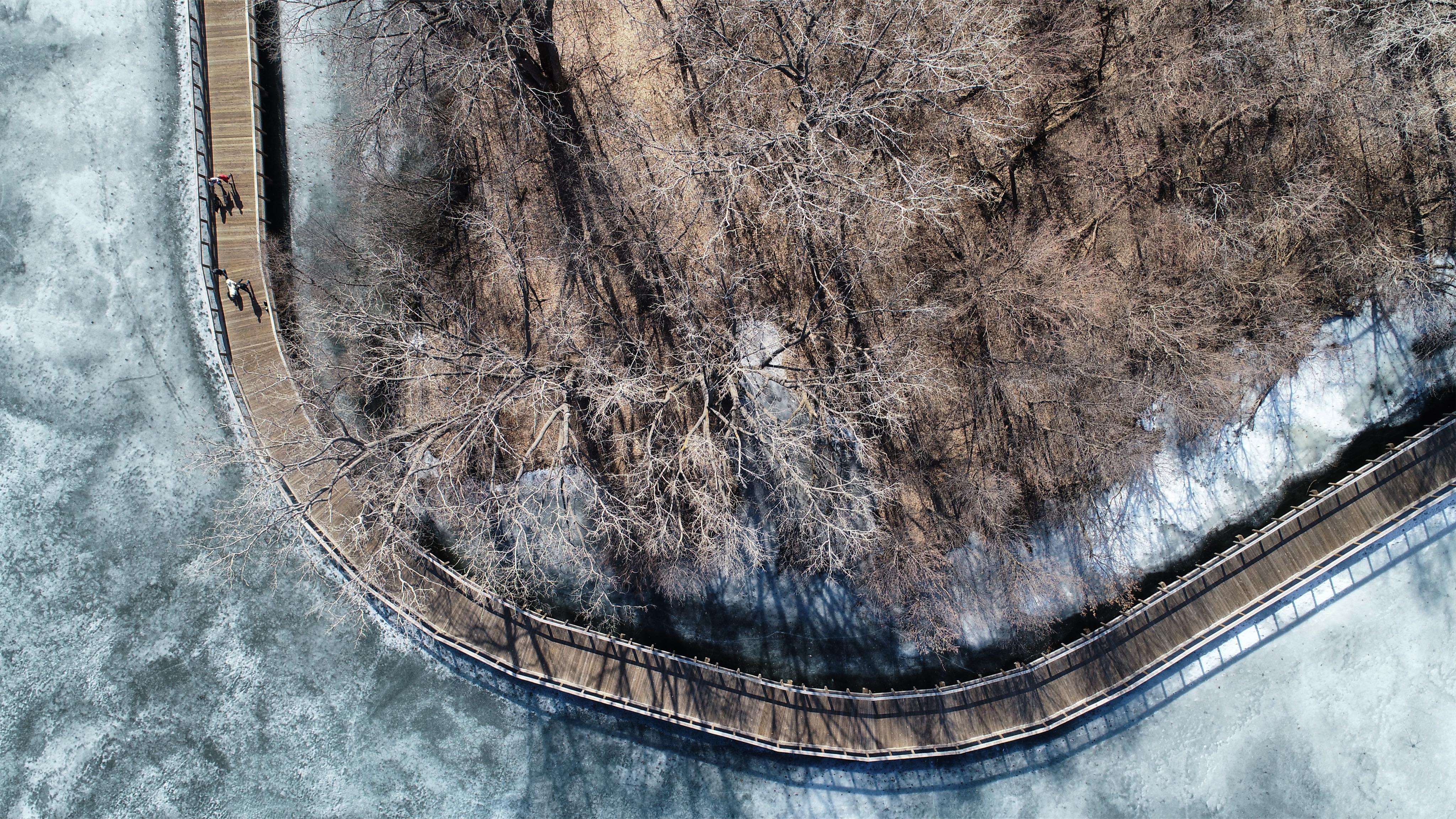 Spring is near drone_photography