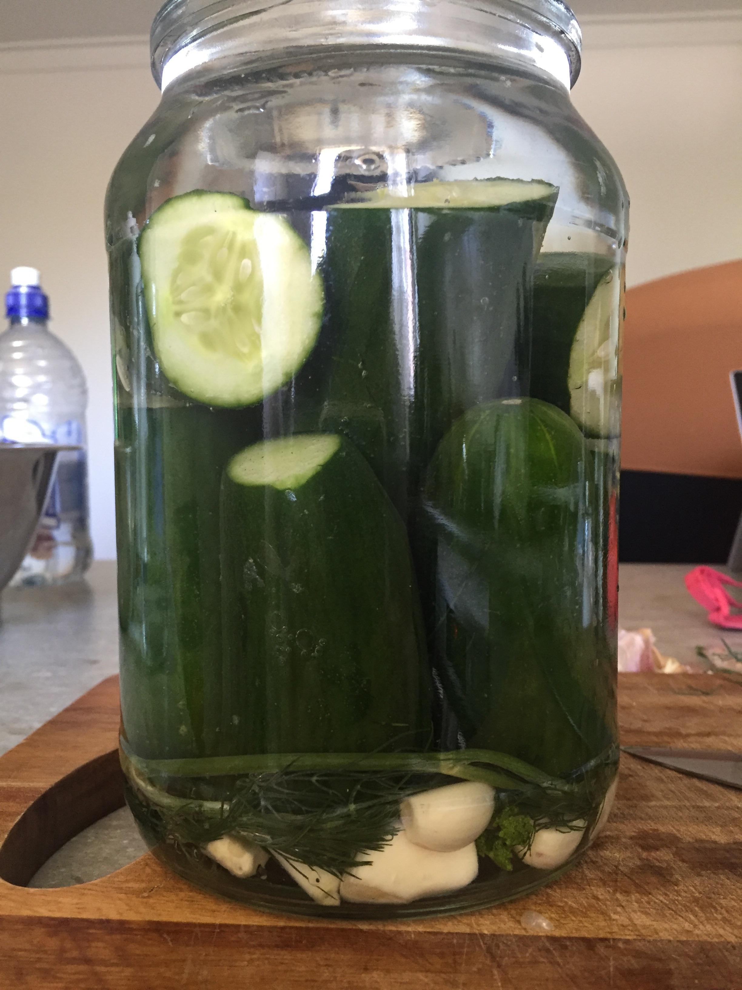 Dill pickles, 3.5 brine. r/fermentation