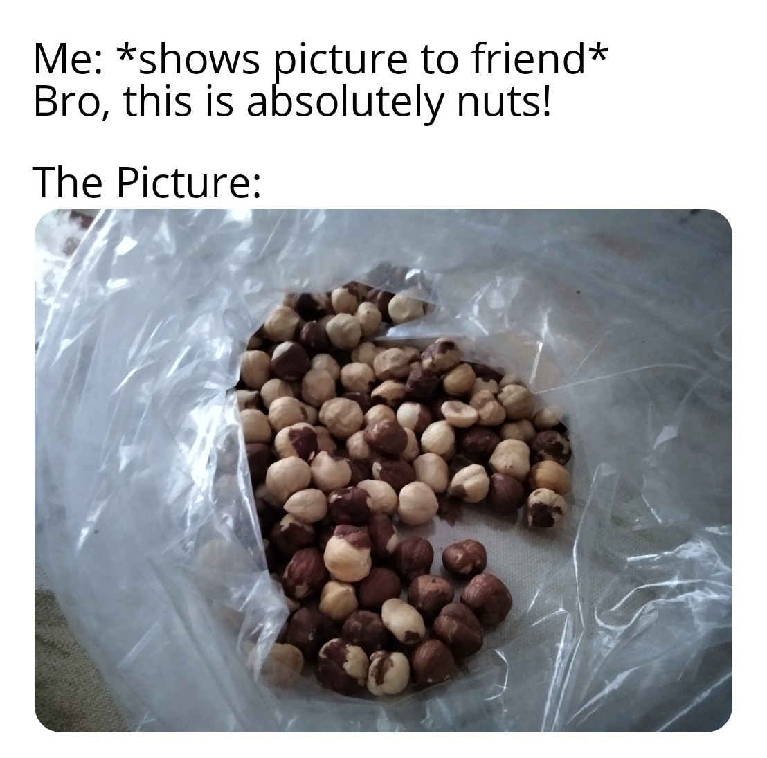 Absolutely nuts! r/antimeme