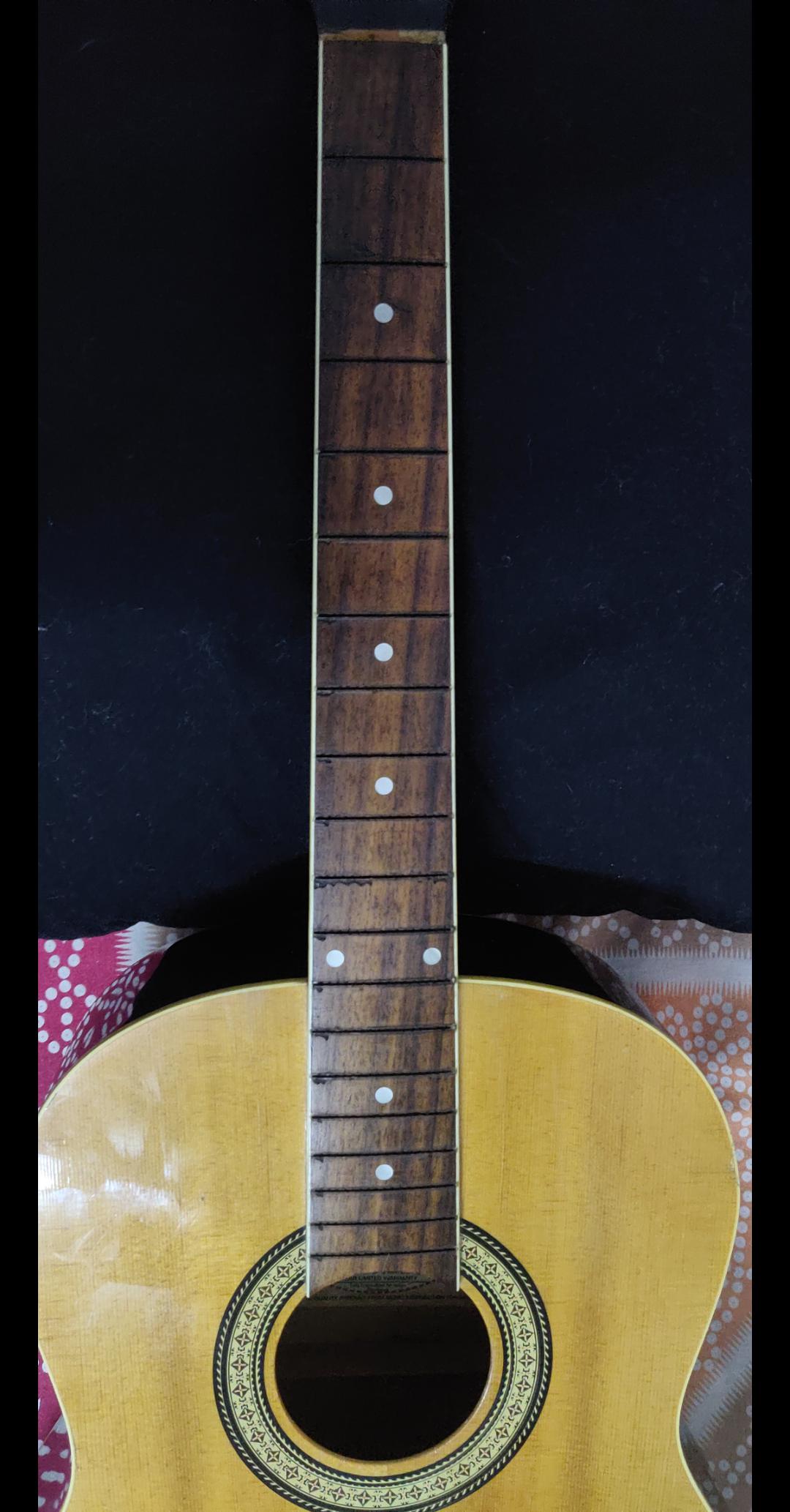 Acoustic guitar REFRET r/guitars