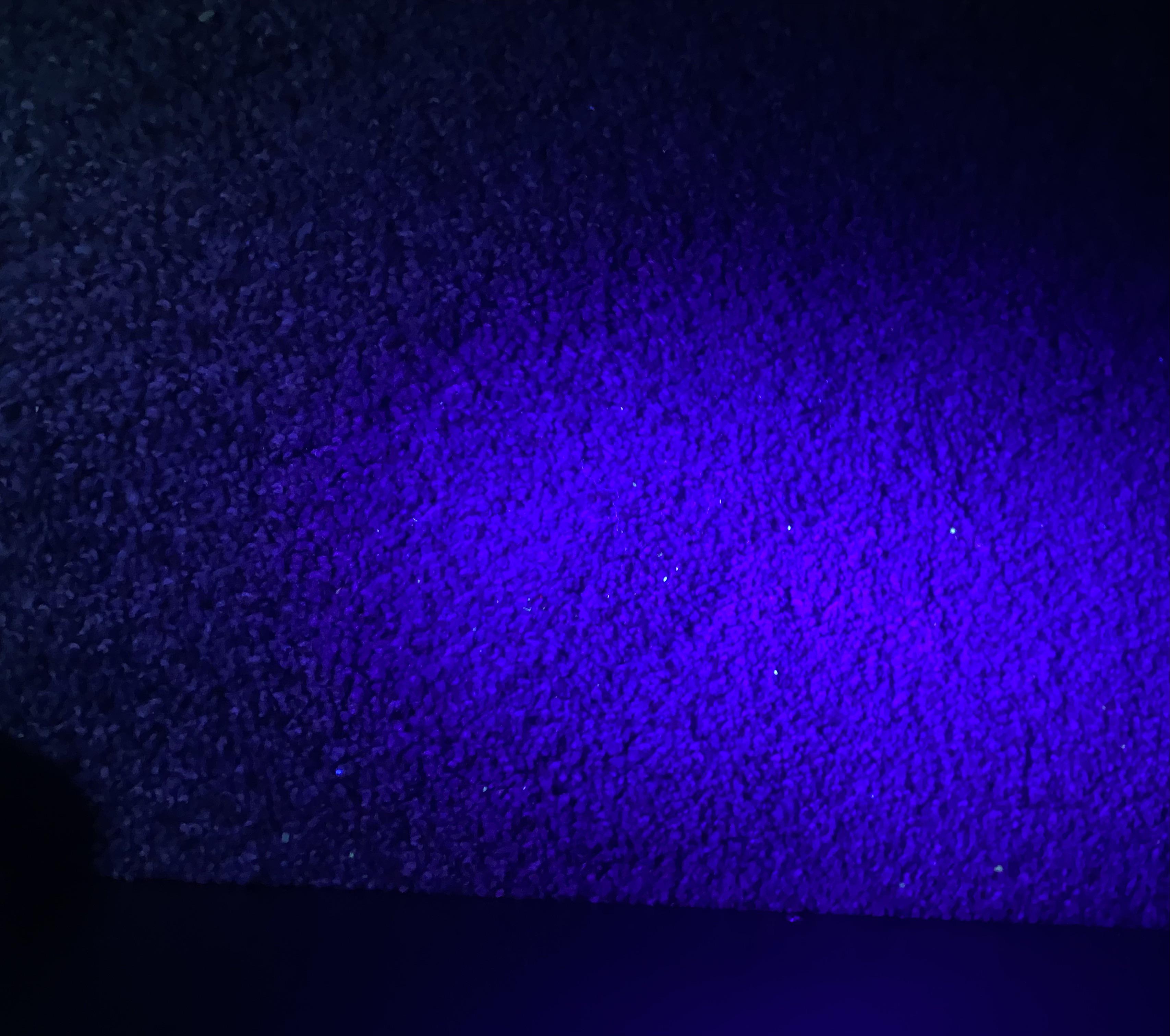 What are these specks under the black light? r/CleaningTips