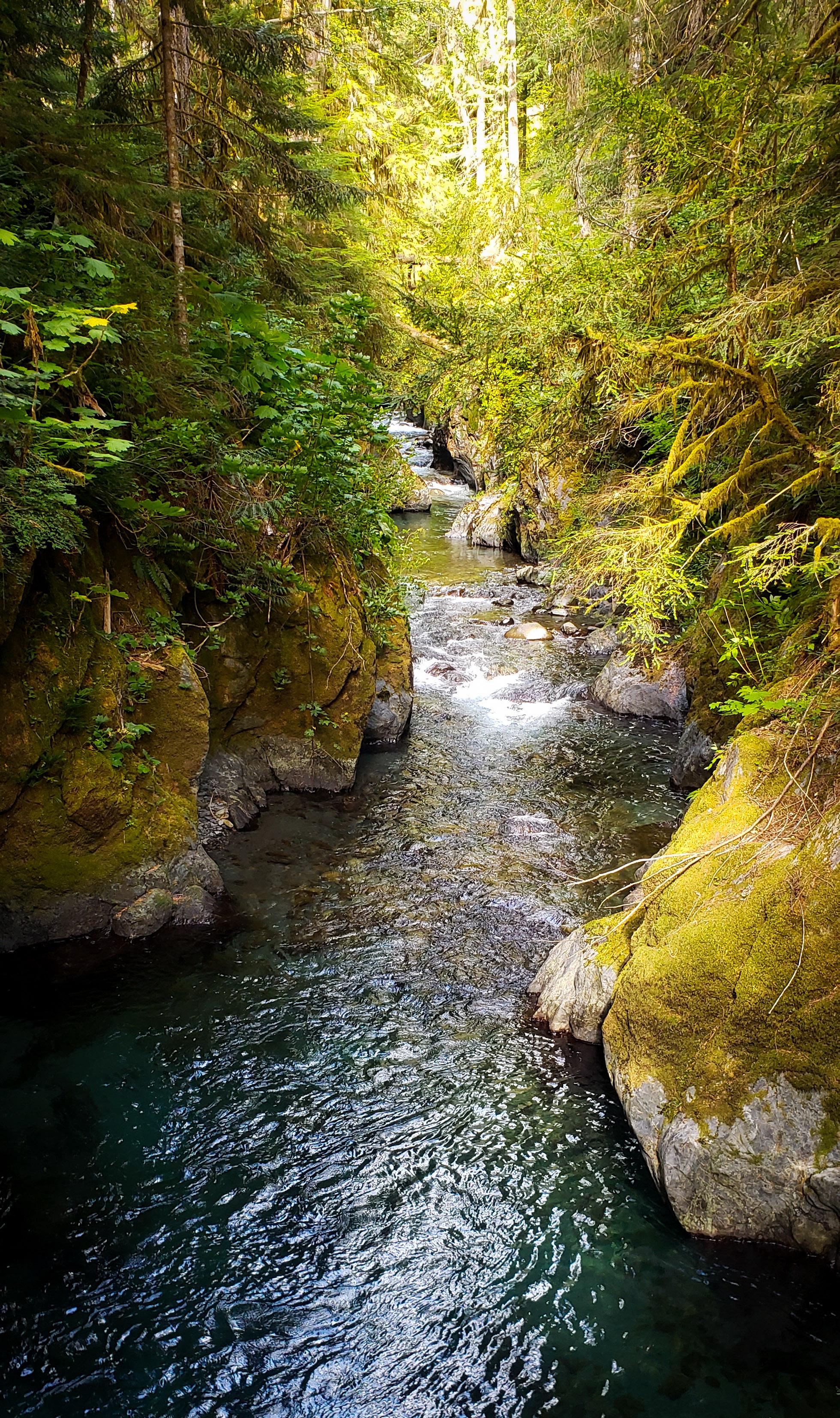 Skokomish River r/Washington