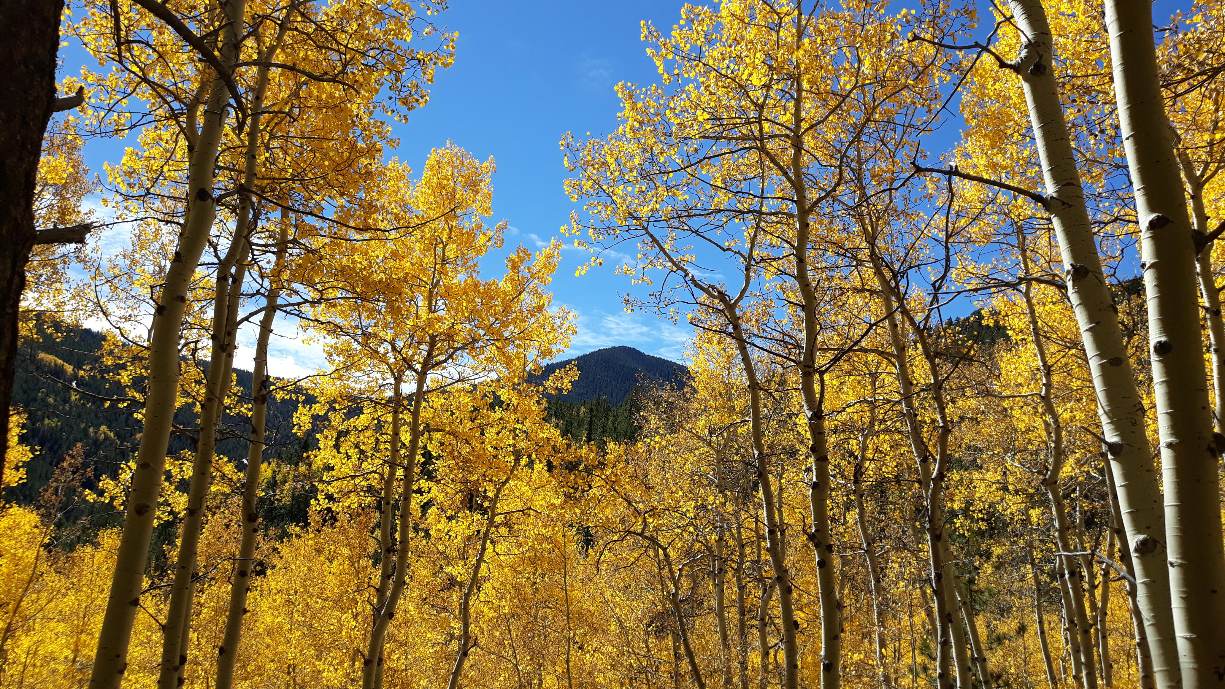 Took this Picture Last Week in North Cheyenne Cañon r/ColoradoSprings