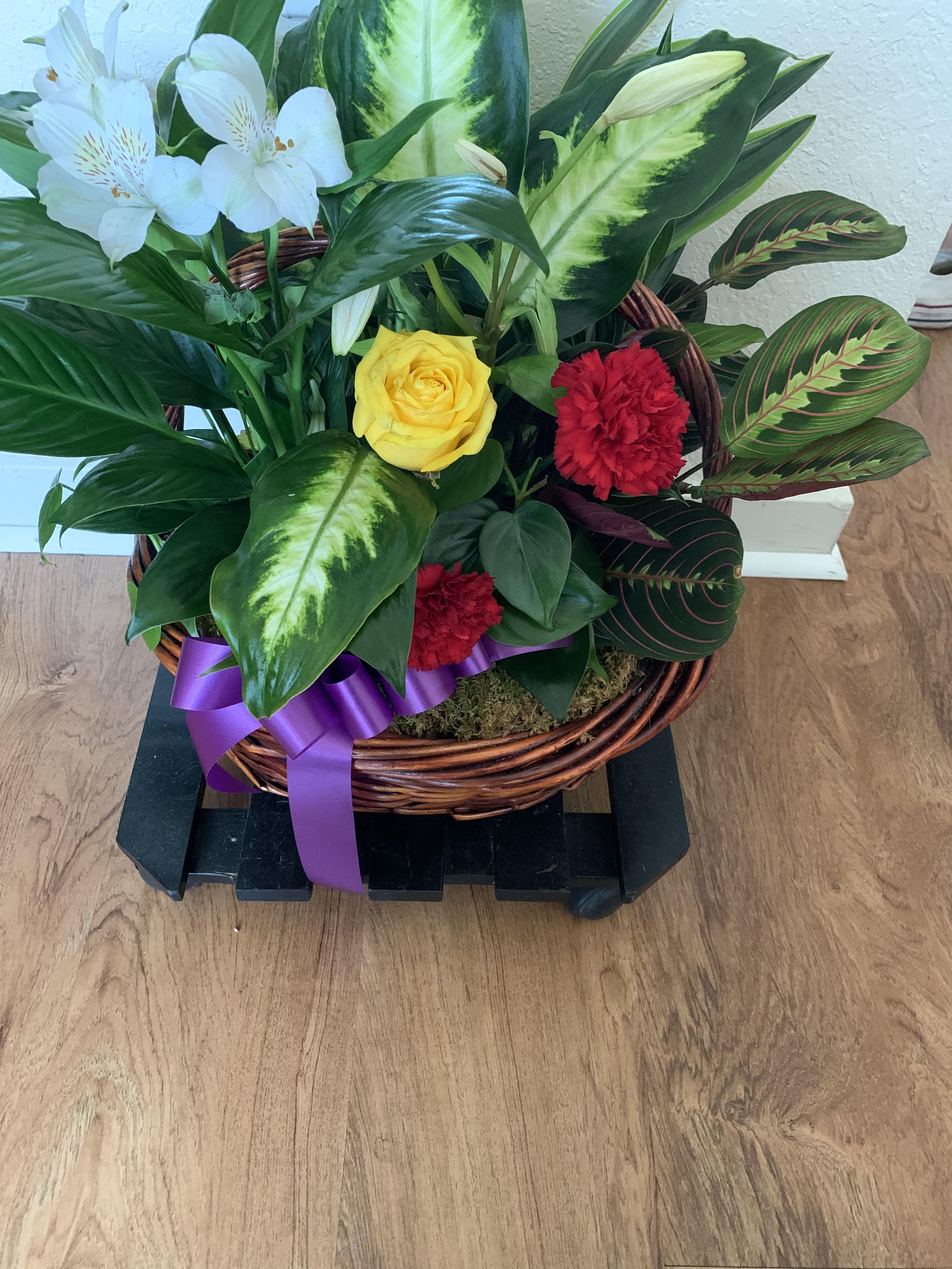 beautiful arrangement from my grandmas funeral service, going to try to