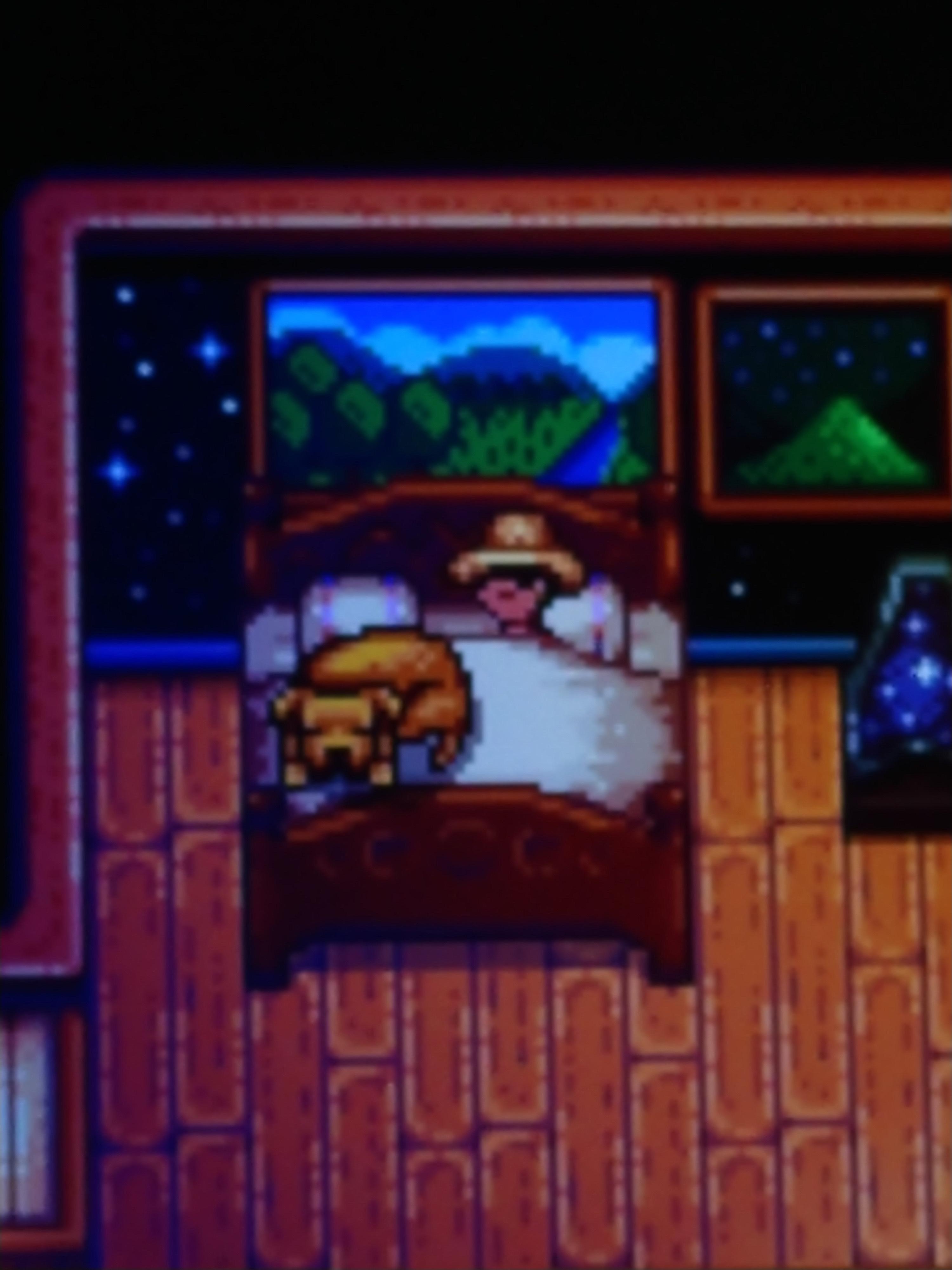 Caught my dog sleeping on my bed! ( r/StardewValley