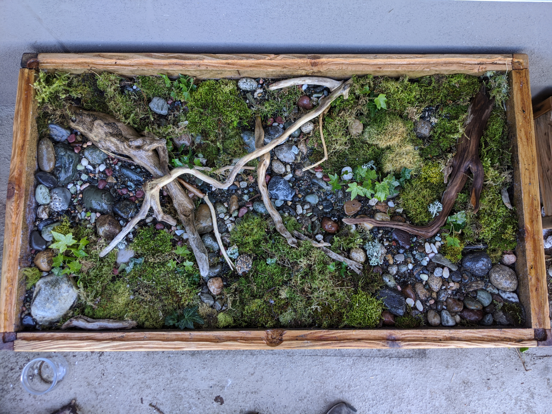 I made a coffee table terrarium. More pics in the comments r/plants
