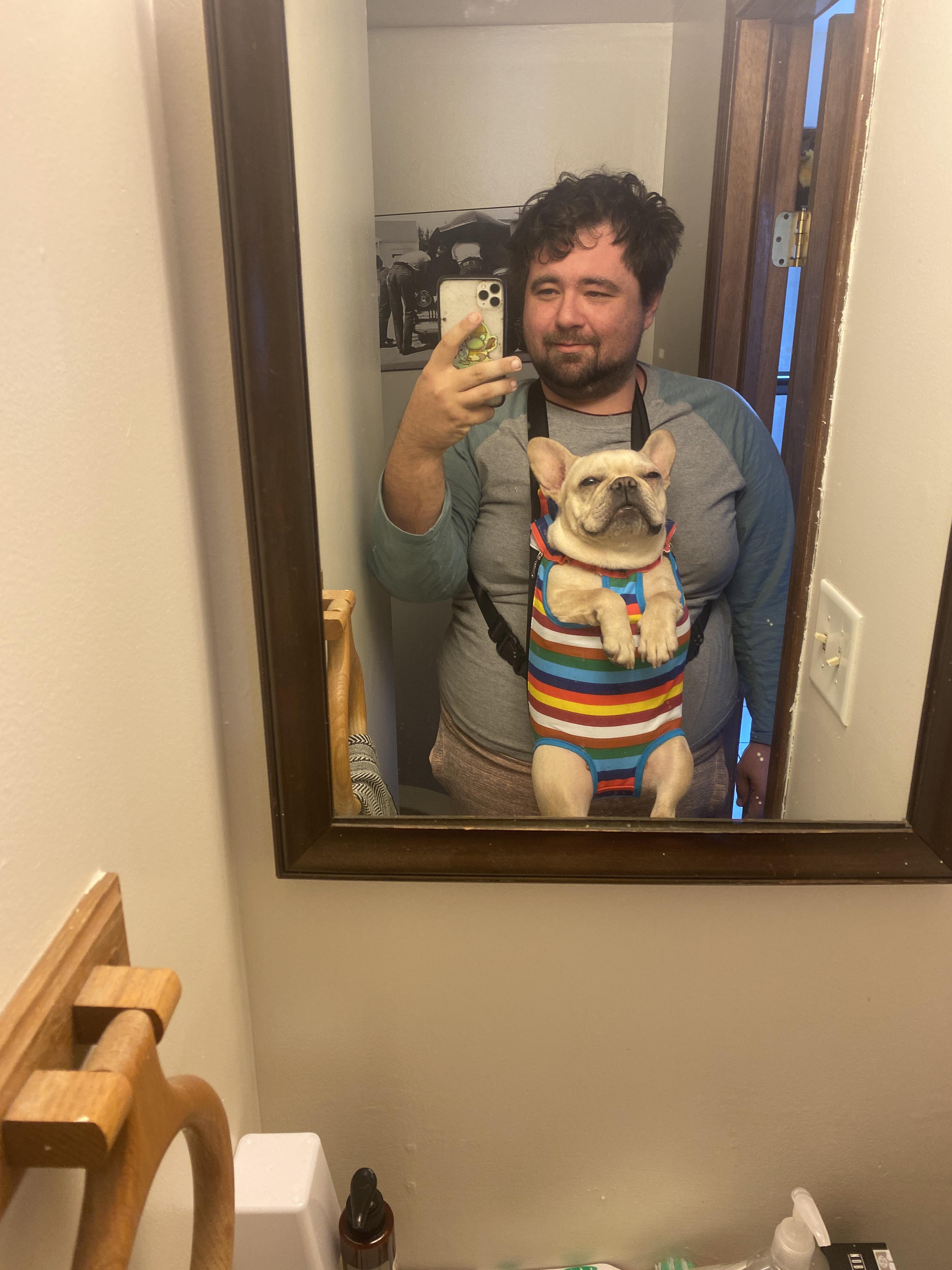 When one dog hates walks but the other loves them but the first dog