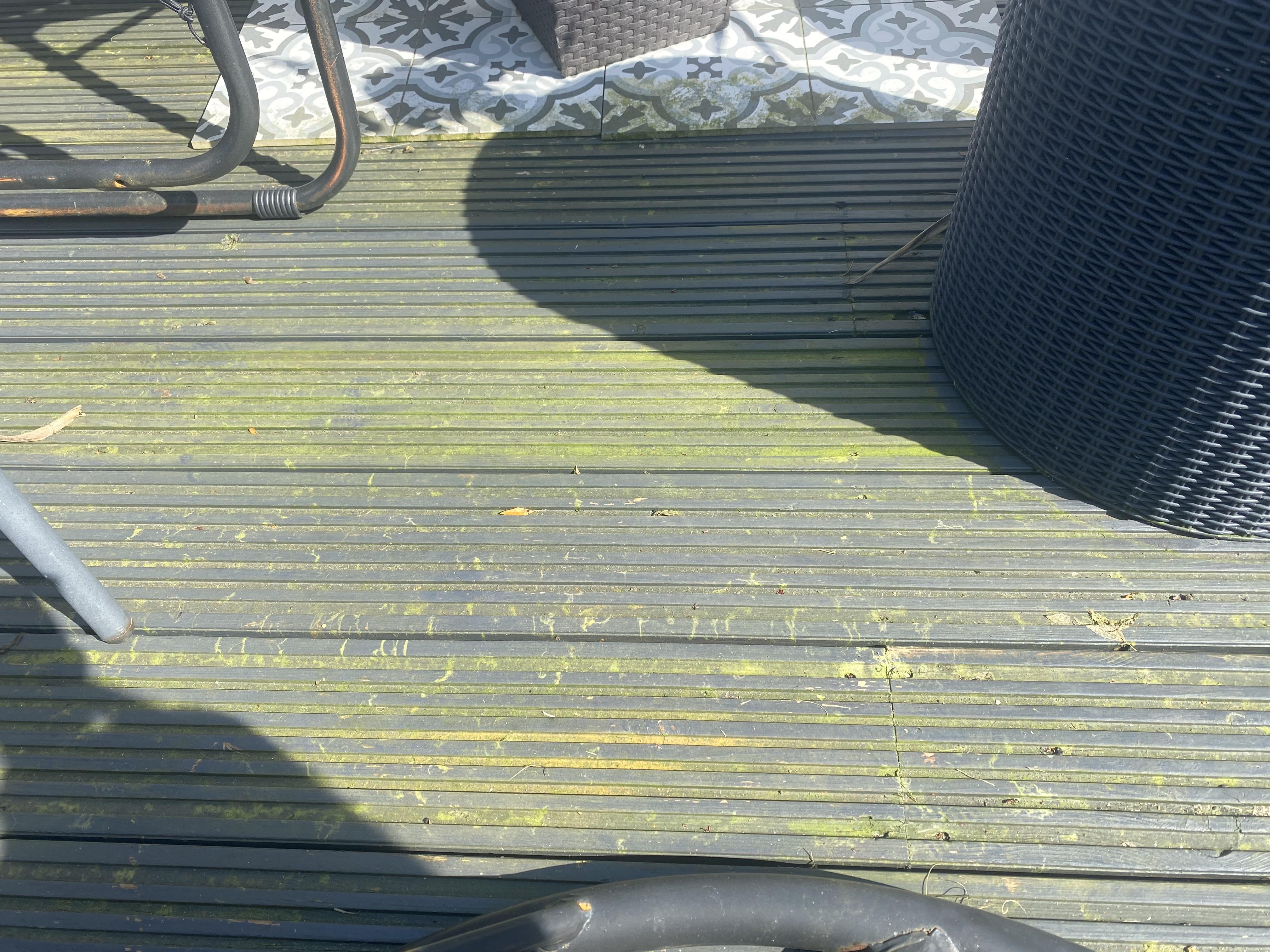 Painted Decking how best to clean moss off without removing the paint