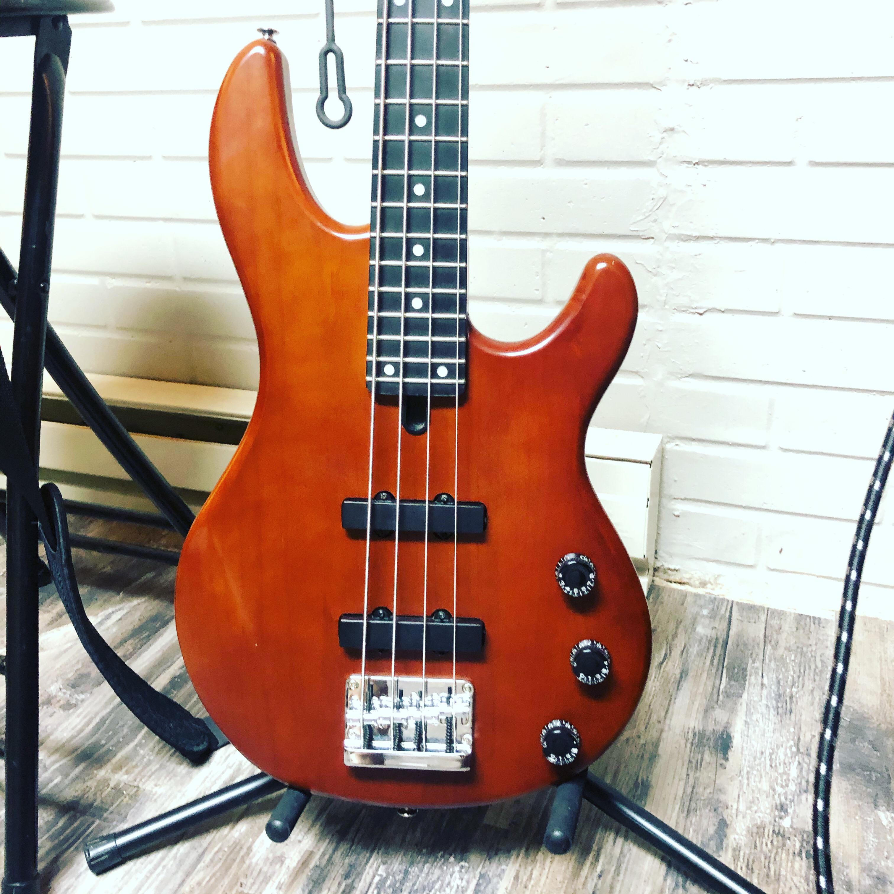 End government subsidies for active basses! Getting my feet wet by