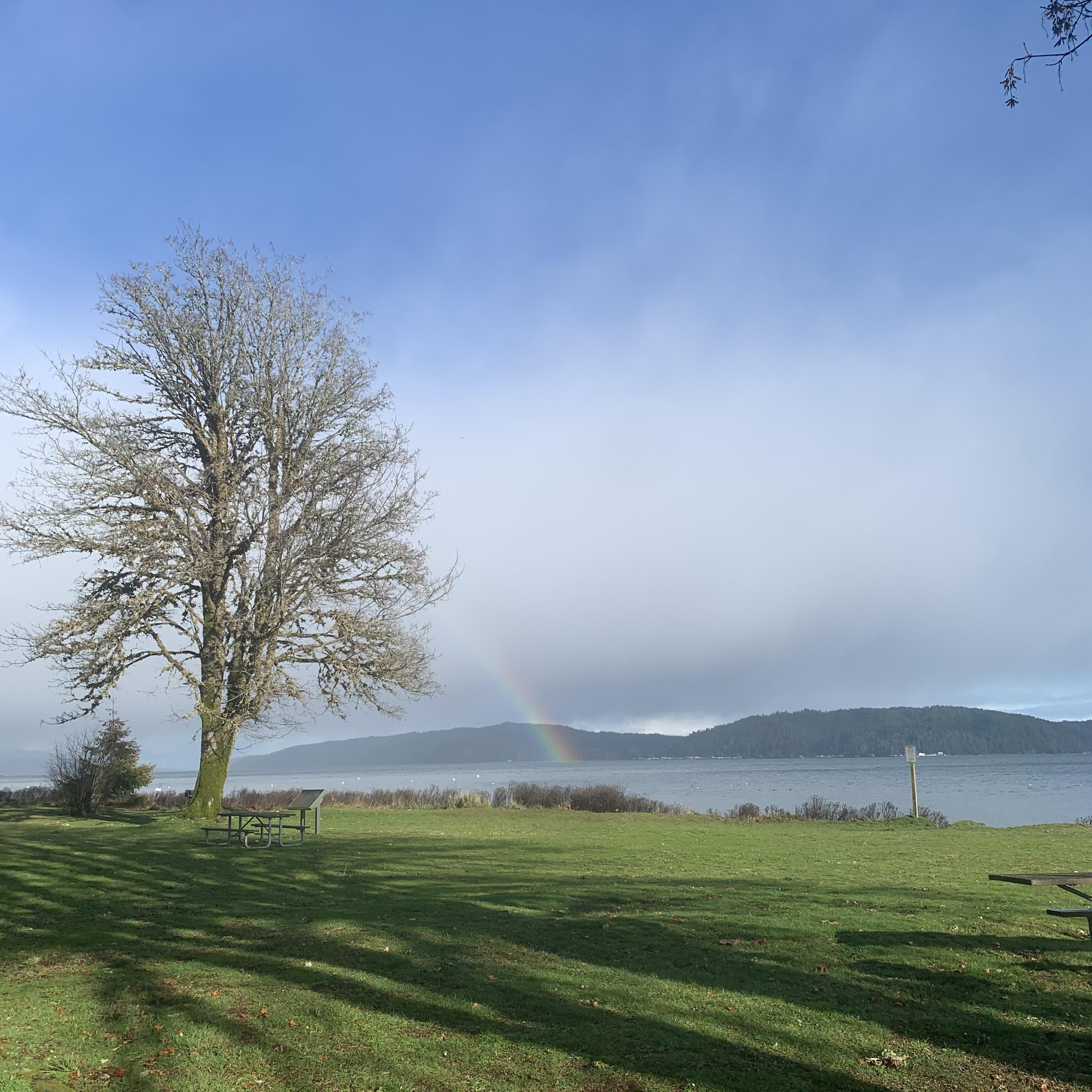 Potlatch Park . It’s a nice day today . r/Washington