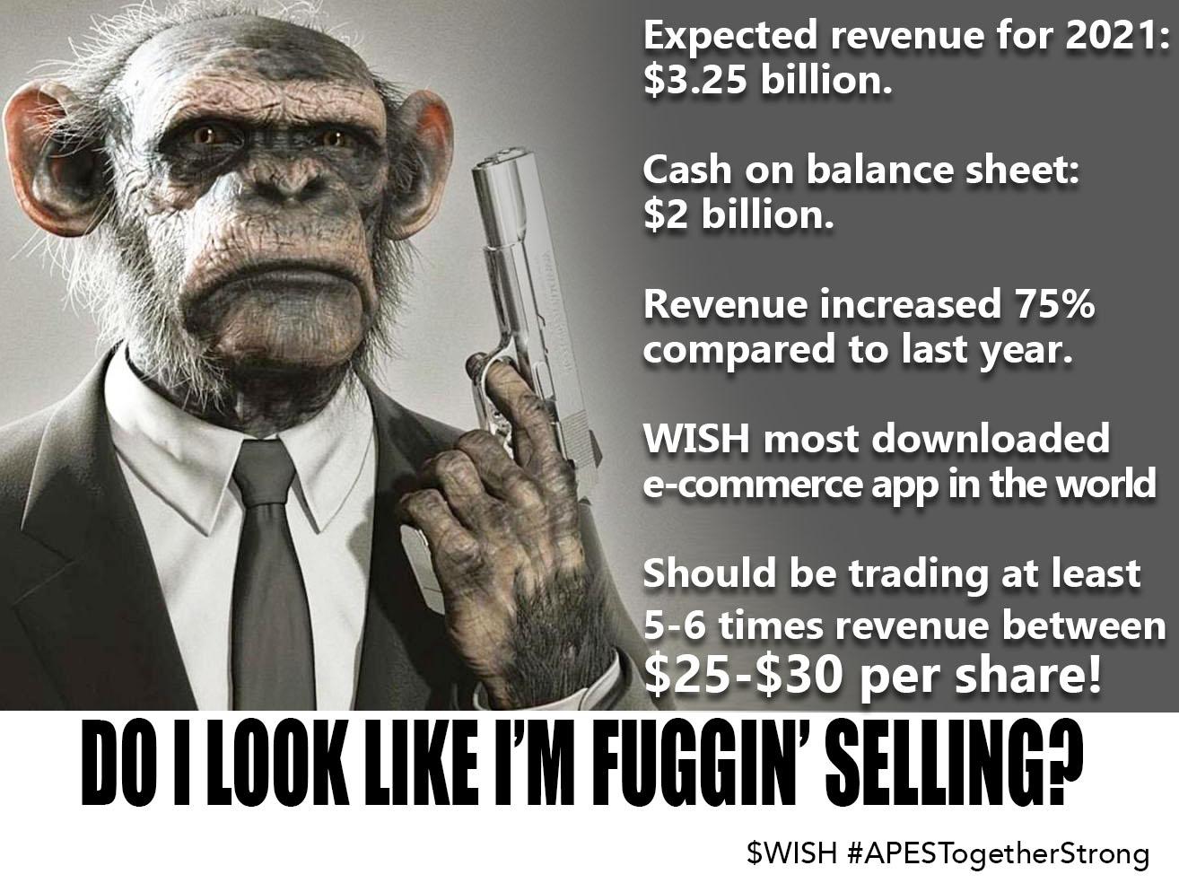 WISH Stock at 2530 is perfectly justified. I'm not selling! r