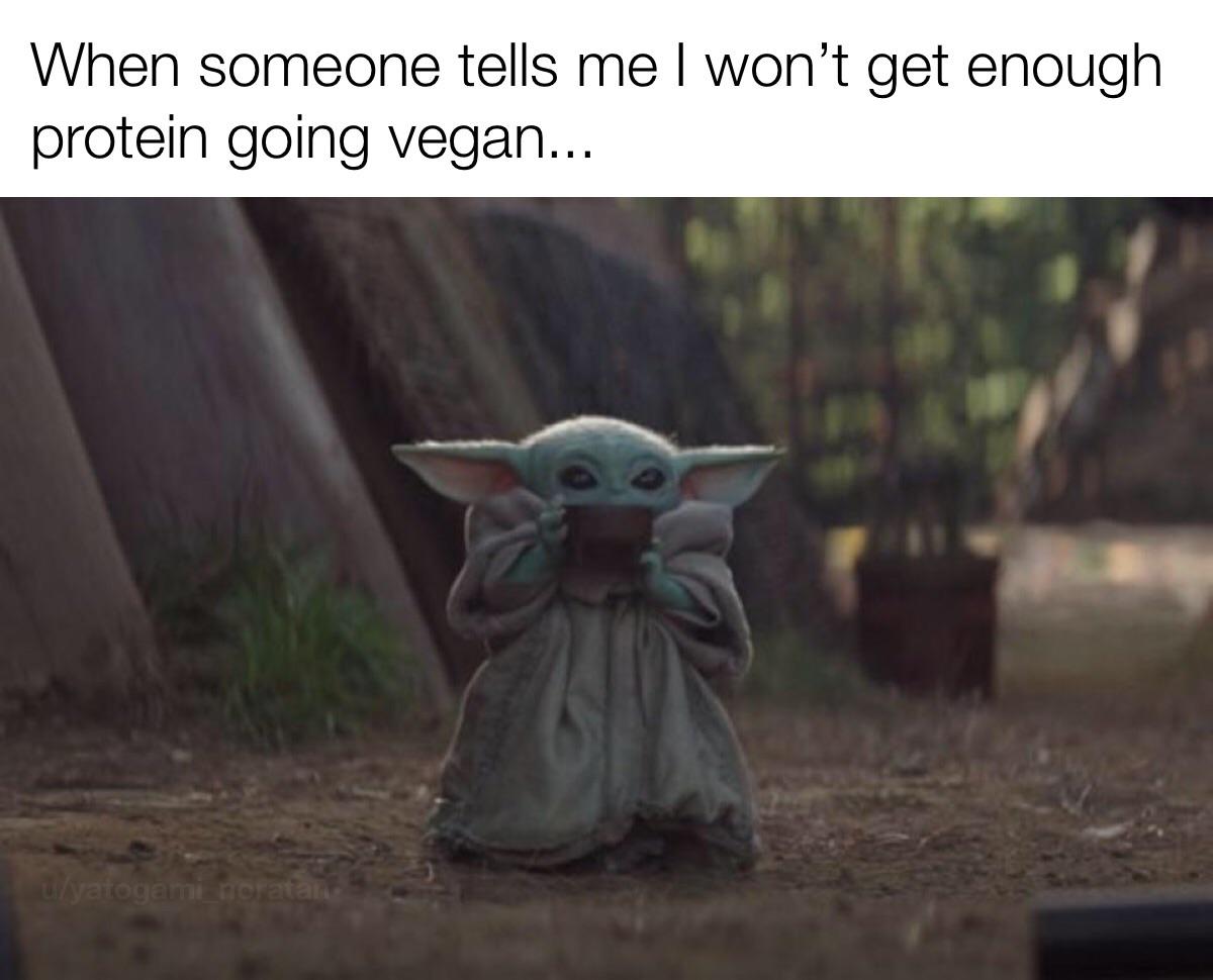 Omnis every time “But protein deficiencies! How do you get strong