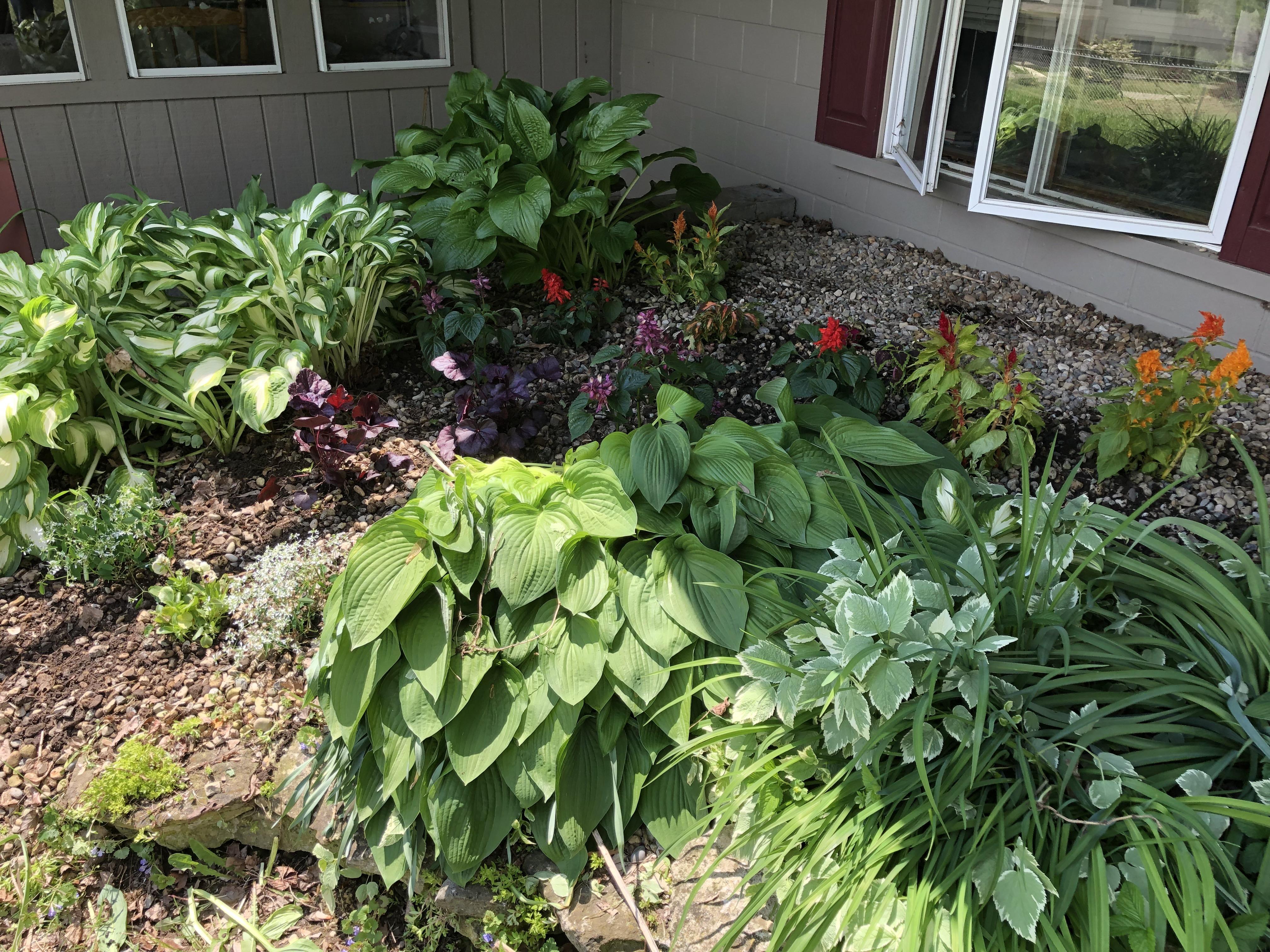 I started redoing the flower bed by my living room today. I was