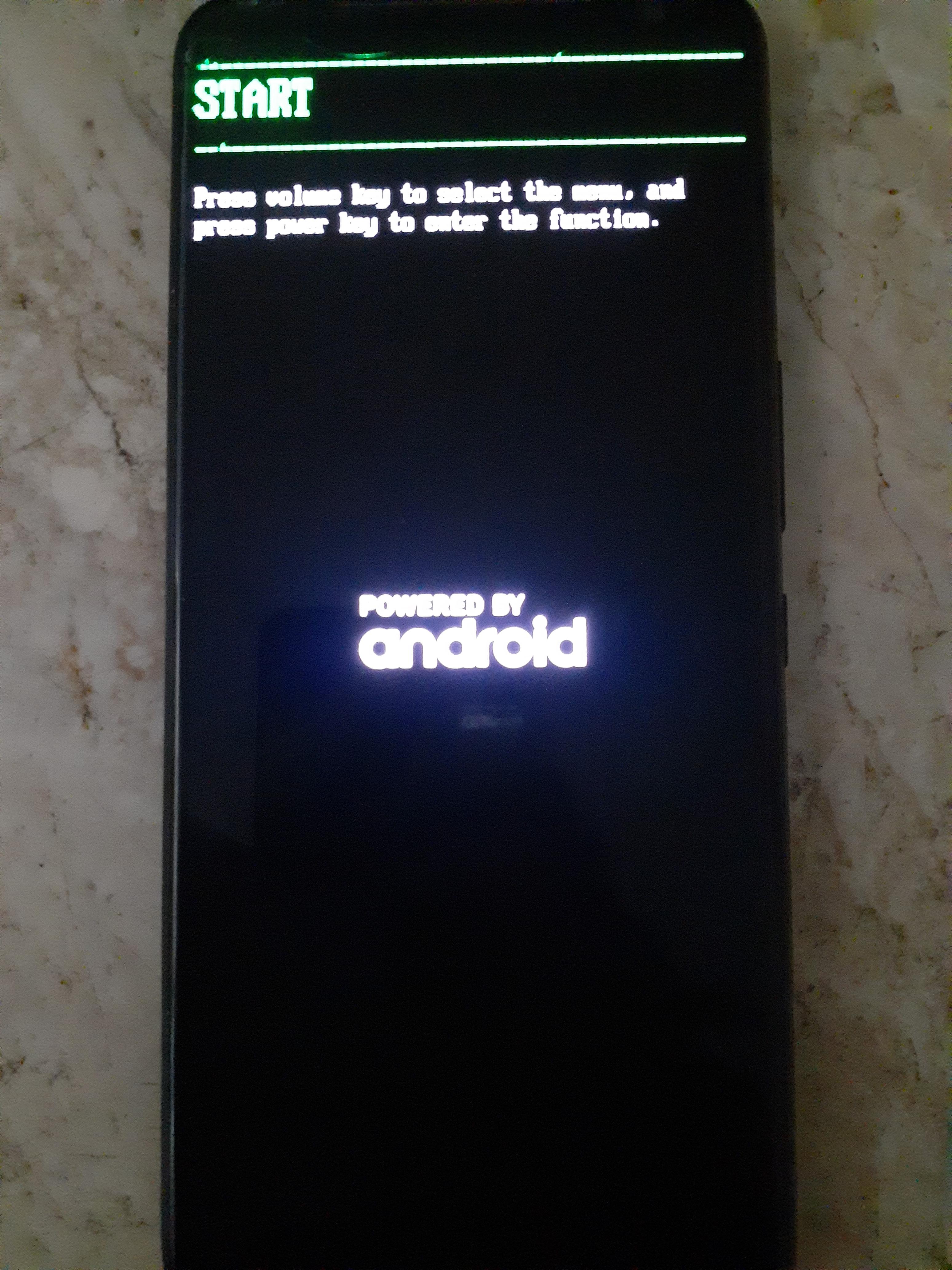 Rog phone 2 stuck in this screen no matter what I do help any button