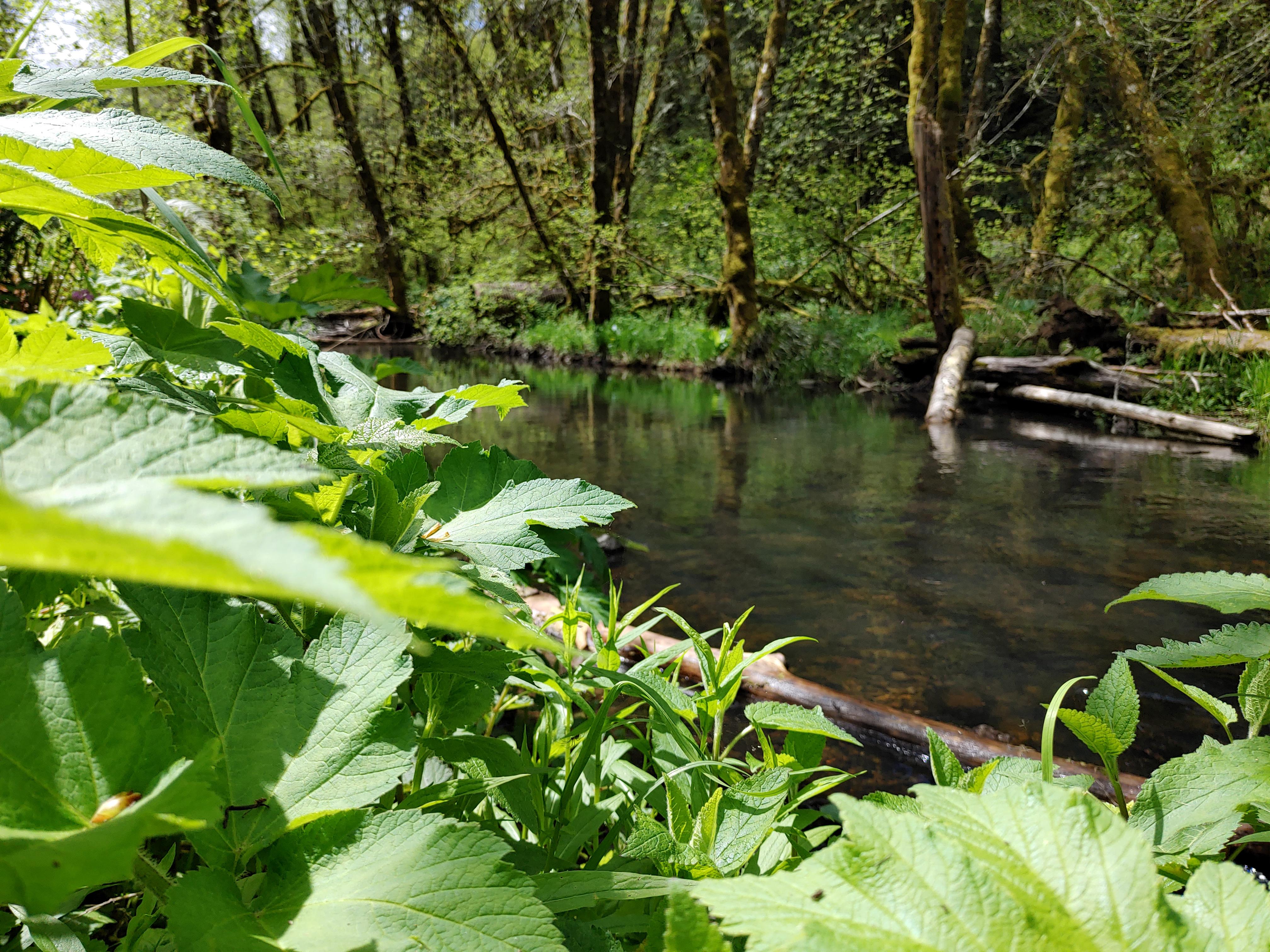 (OC) Deer Island, Oregon r/pics