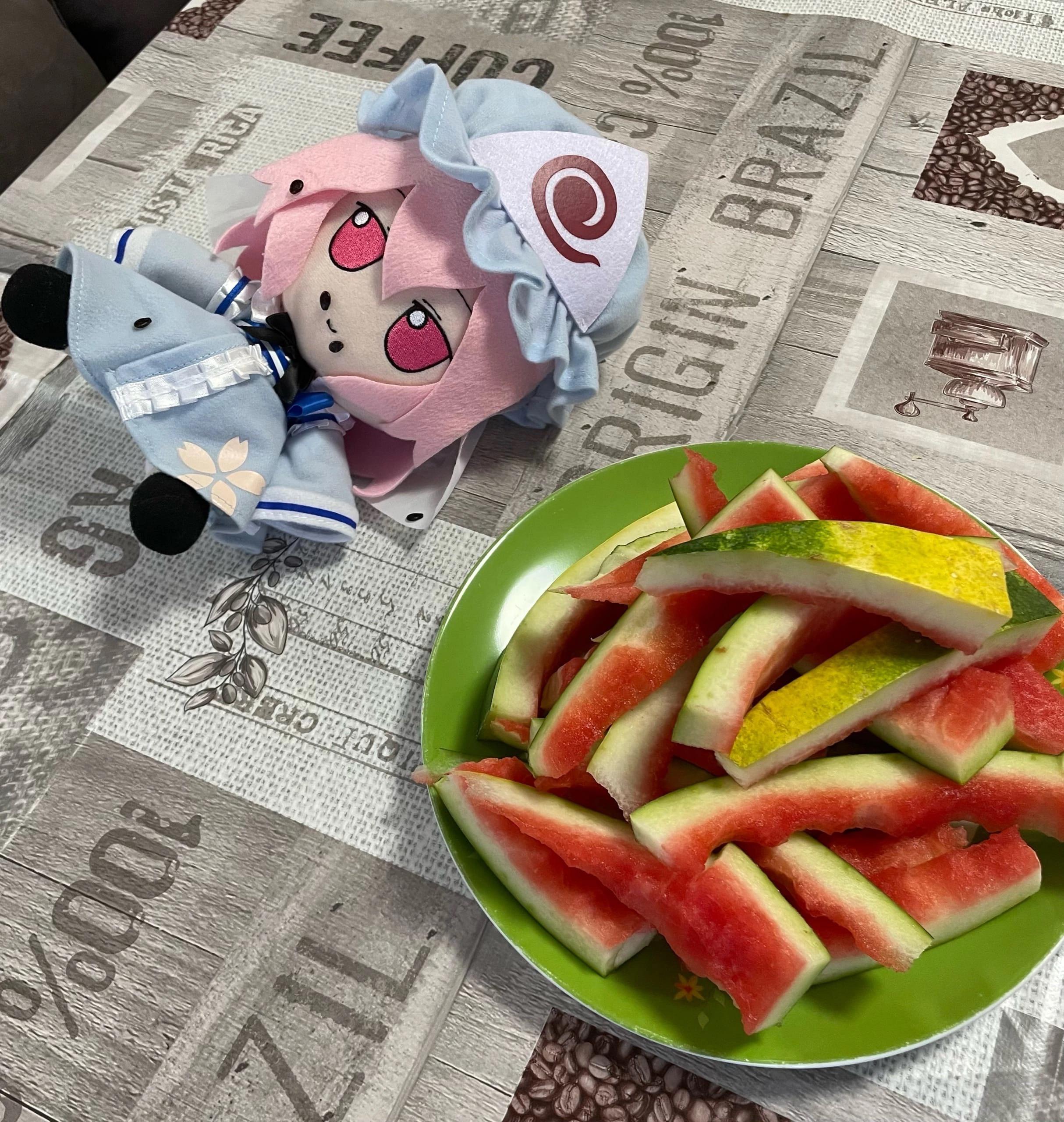 Average watermelon enjoyer r/touhou